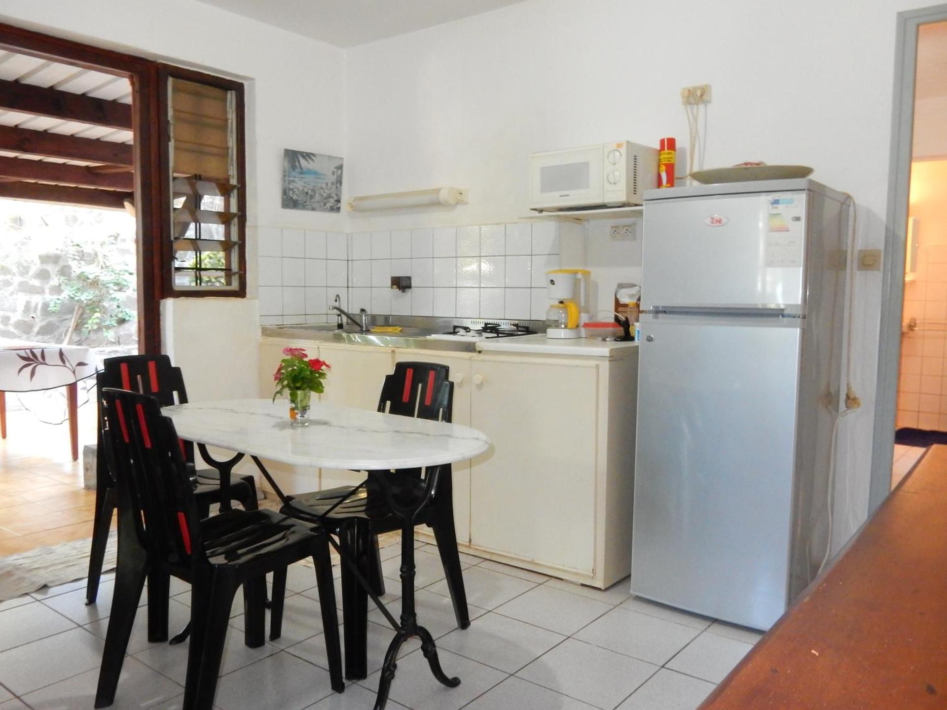 Apartment with Terrace (F1)