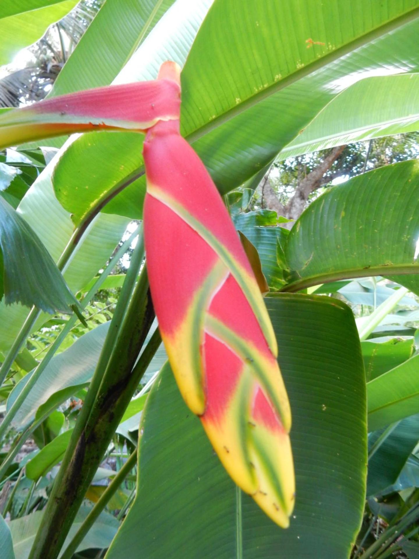 Sarl Mayoume - Photo 11