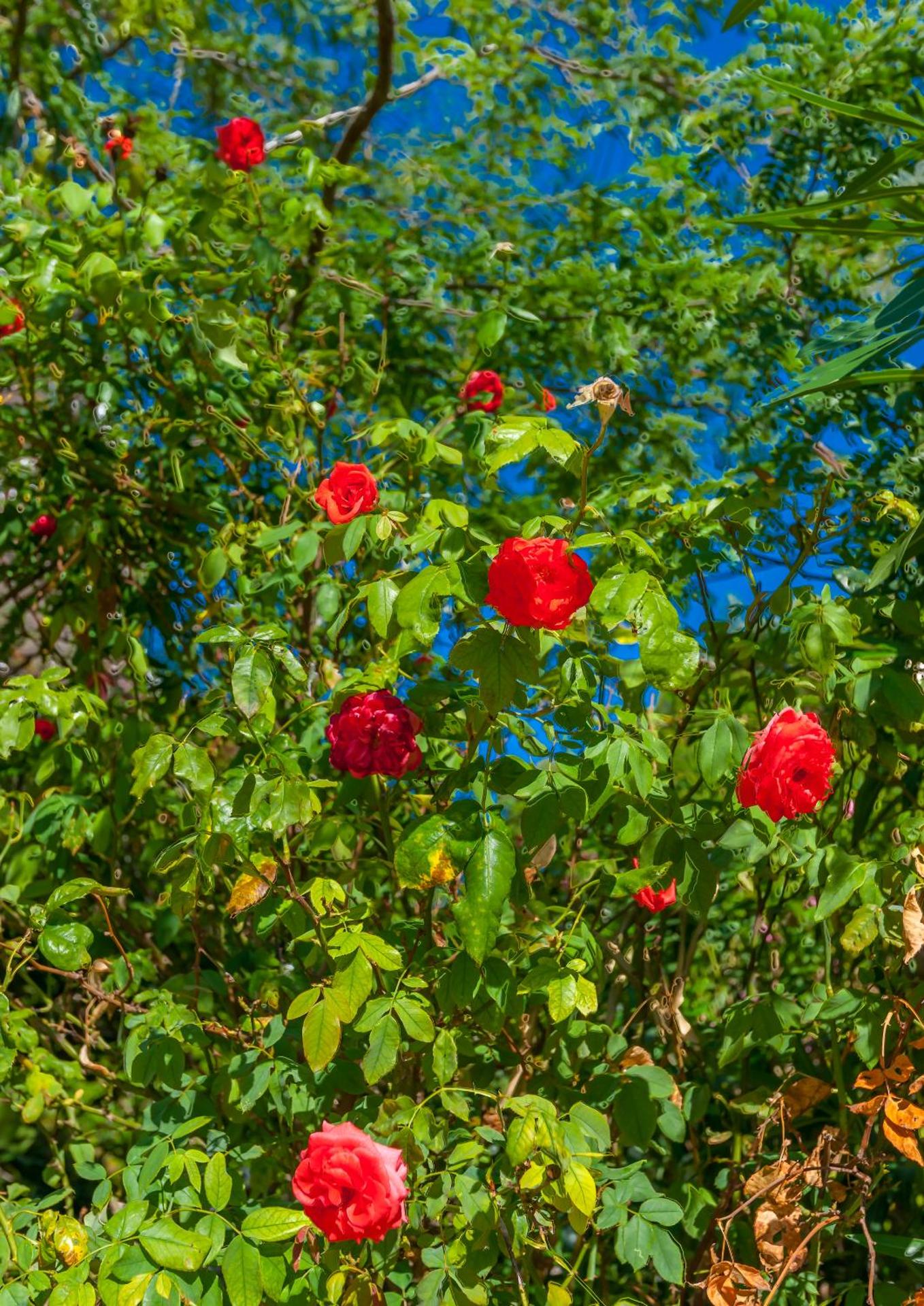 Park Hotel - Photo 4