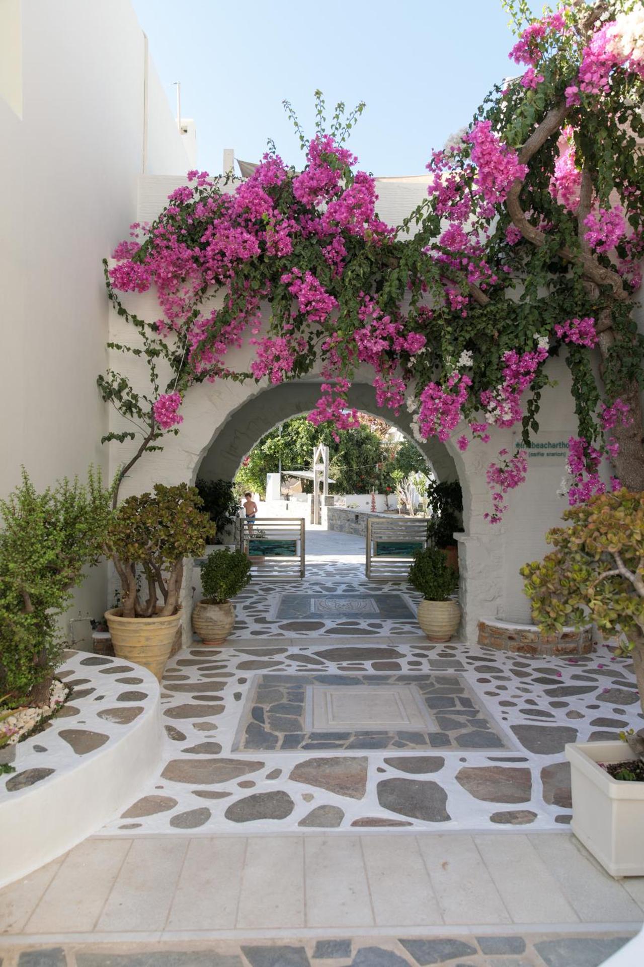 Iria Beach Art Hotel - Photo 135