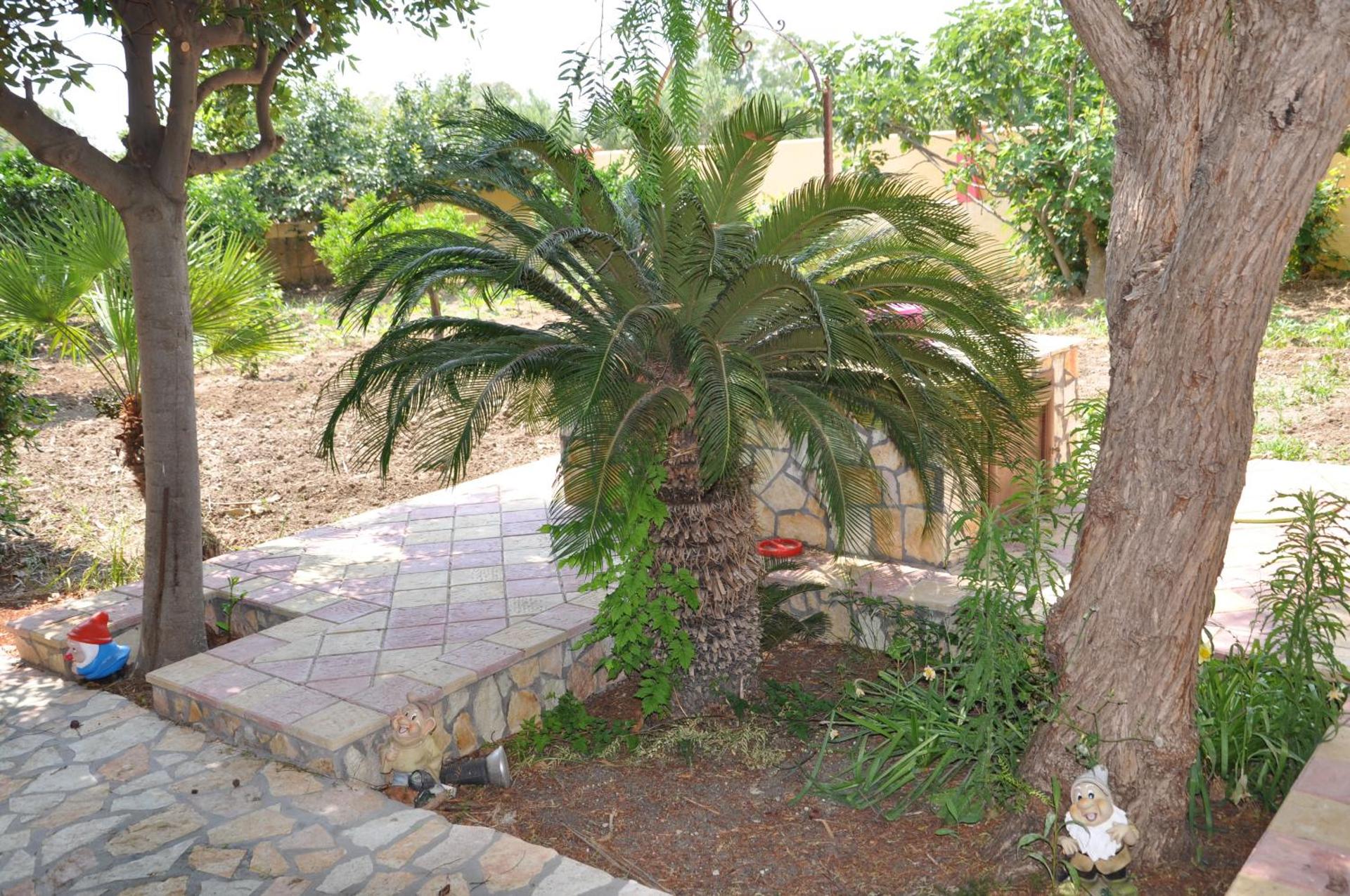 Profumo di Zagara - Photo 17