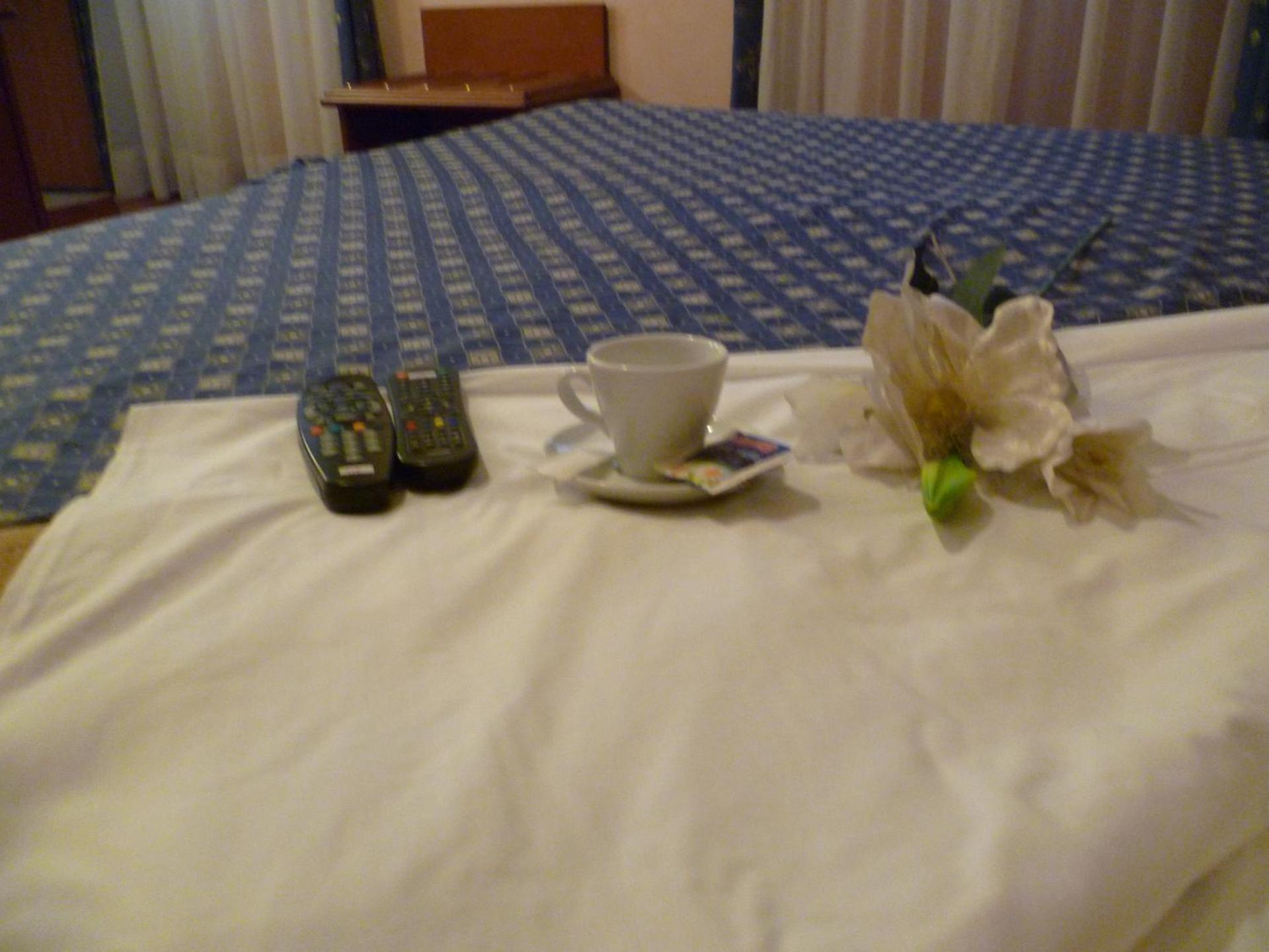 Hotel Minerva - Photo 17