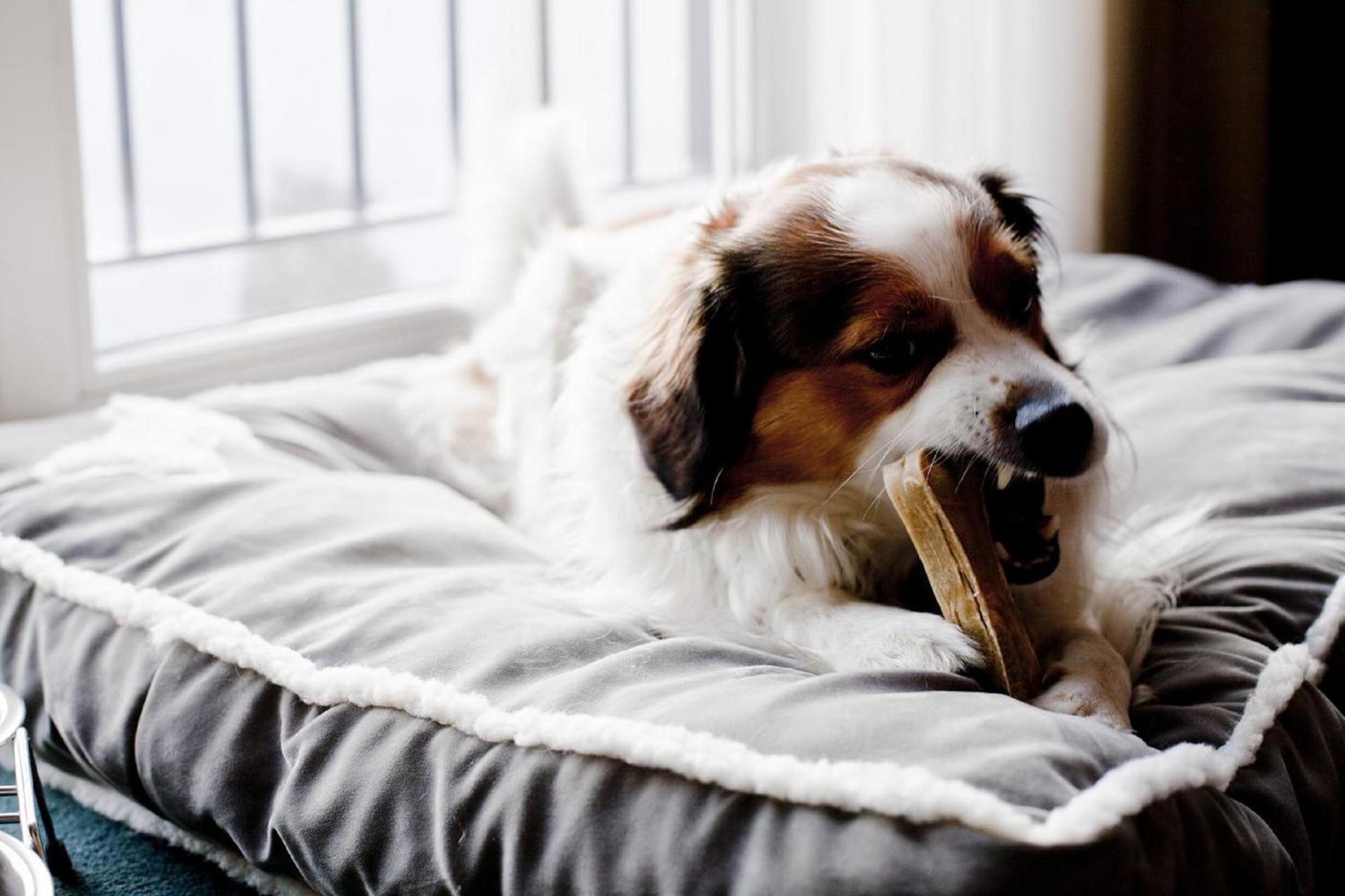 relexa hotel Stuttgarter Hof - Photo 23