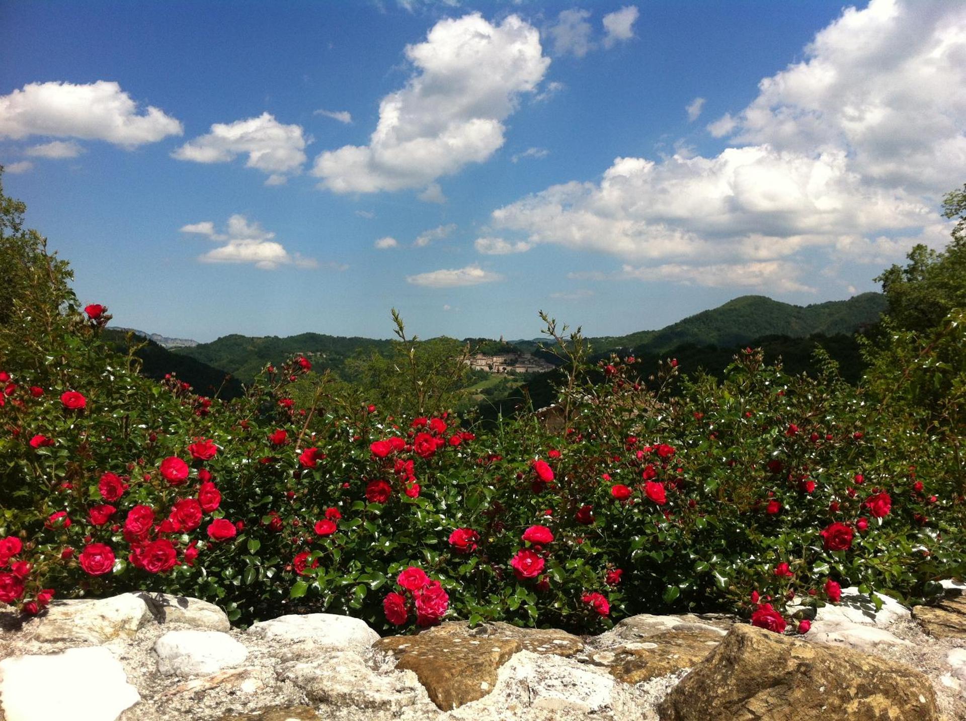 Il Nascondiglio - The Hideaway - Photo 143