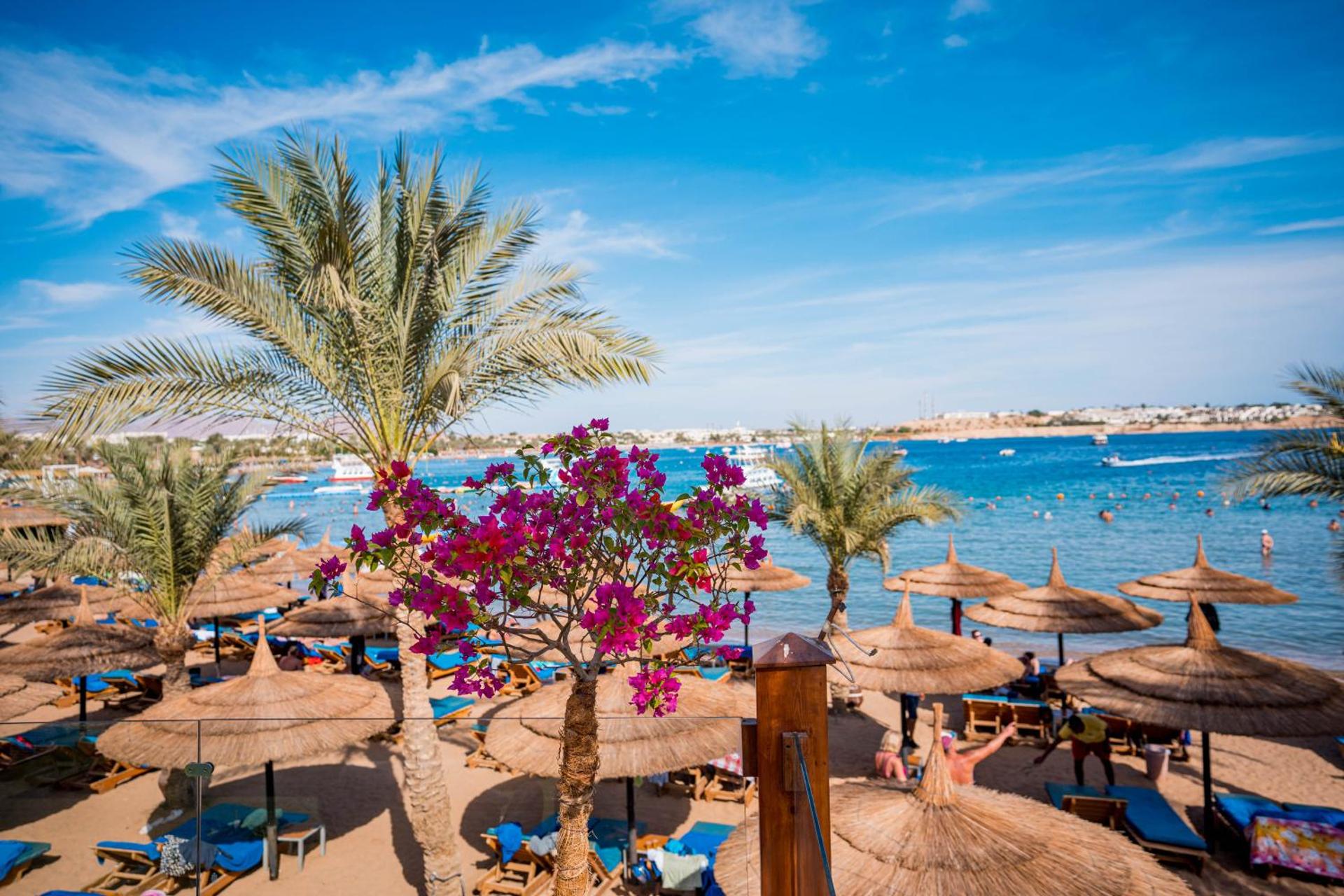 Marina Sharm Hotel - Photo 165