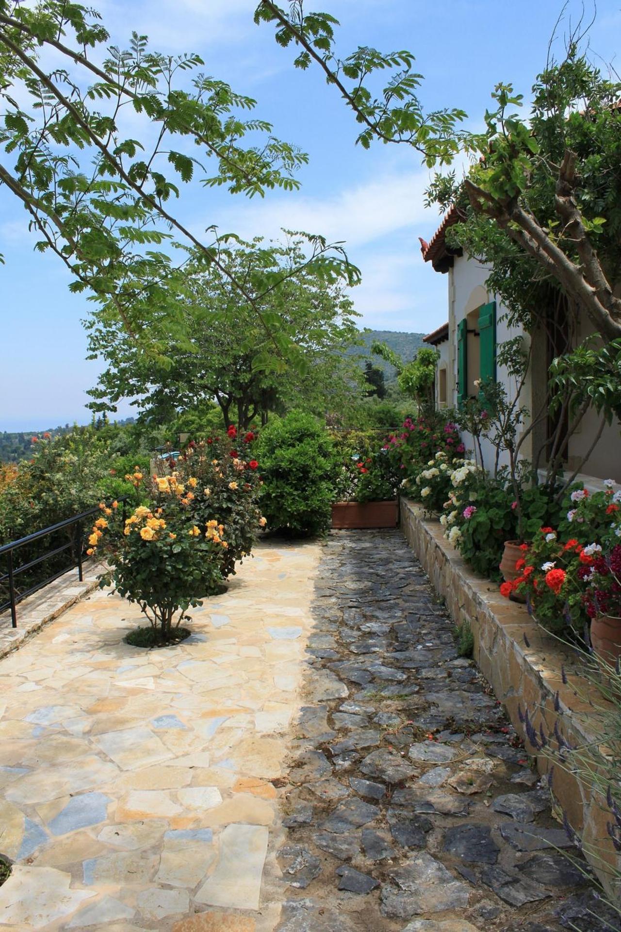 Aspalathos Villas - Photo 55