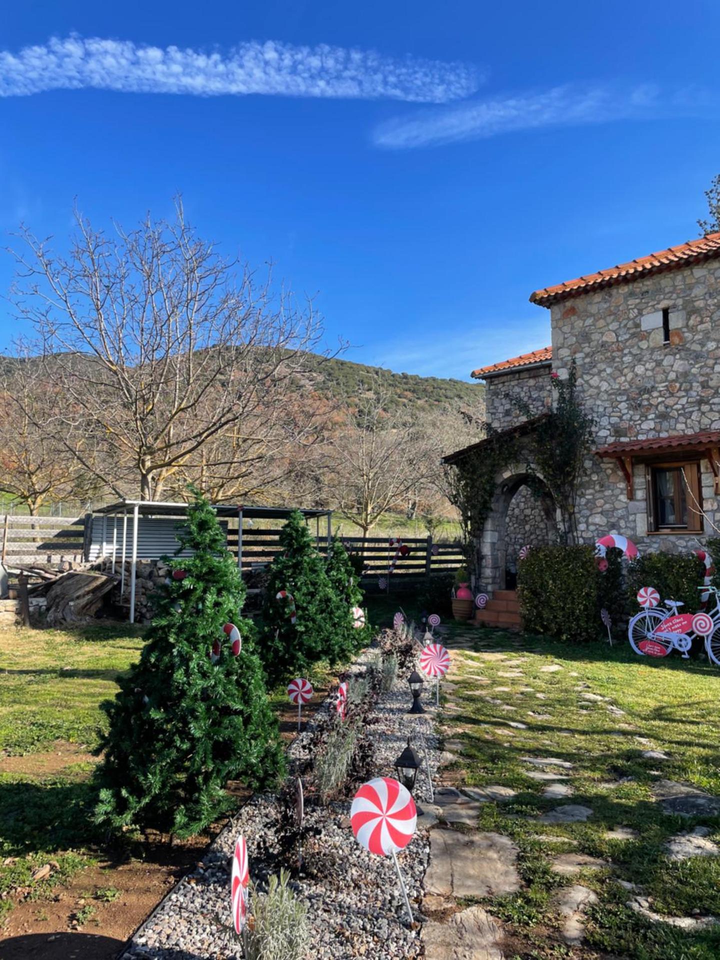 Country Stone House ,next to Kalavrita - Photo 42