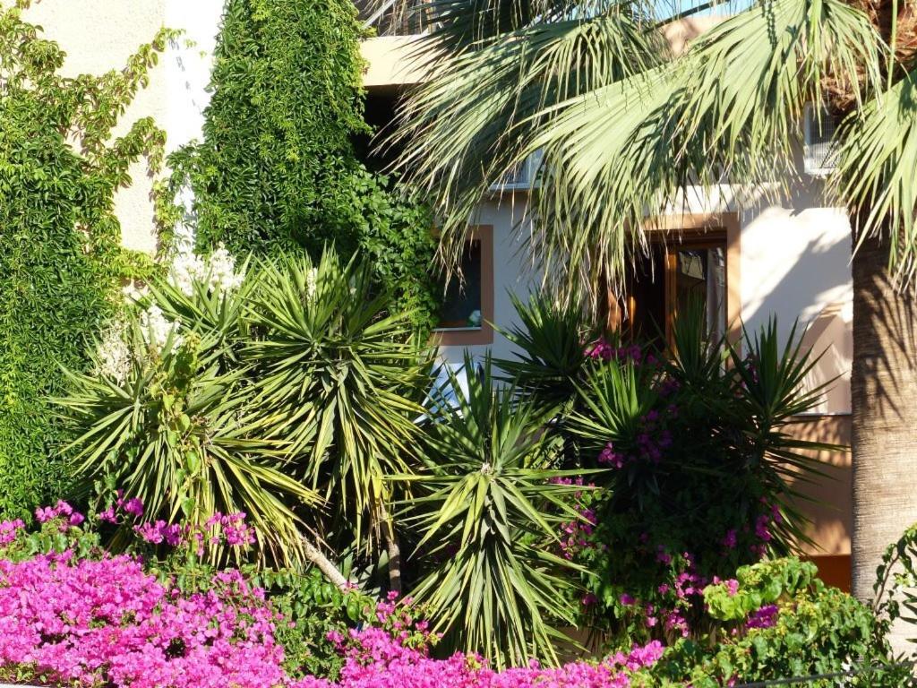 Pension Aretoussa - Photo 52