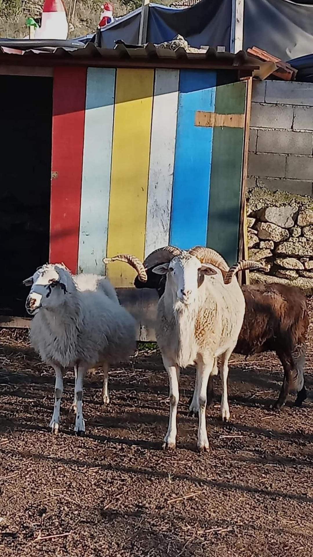 Gojim Casa Rural - Photo 76