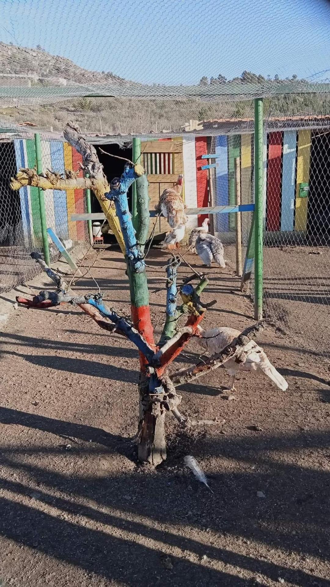 Gojim Casa Rural - Photo 75