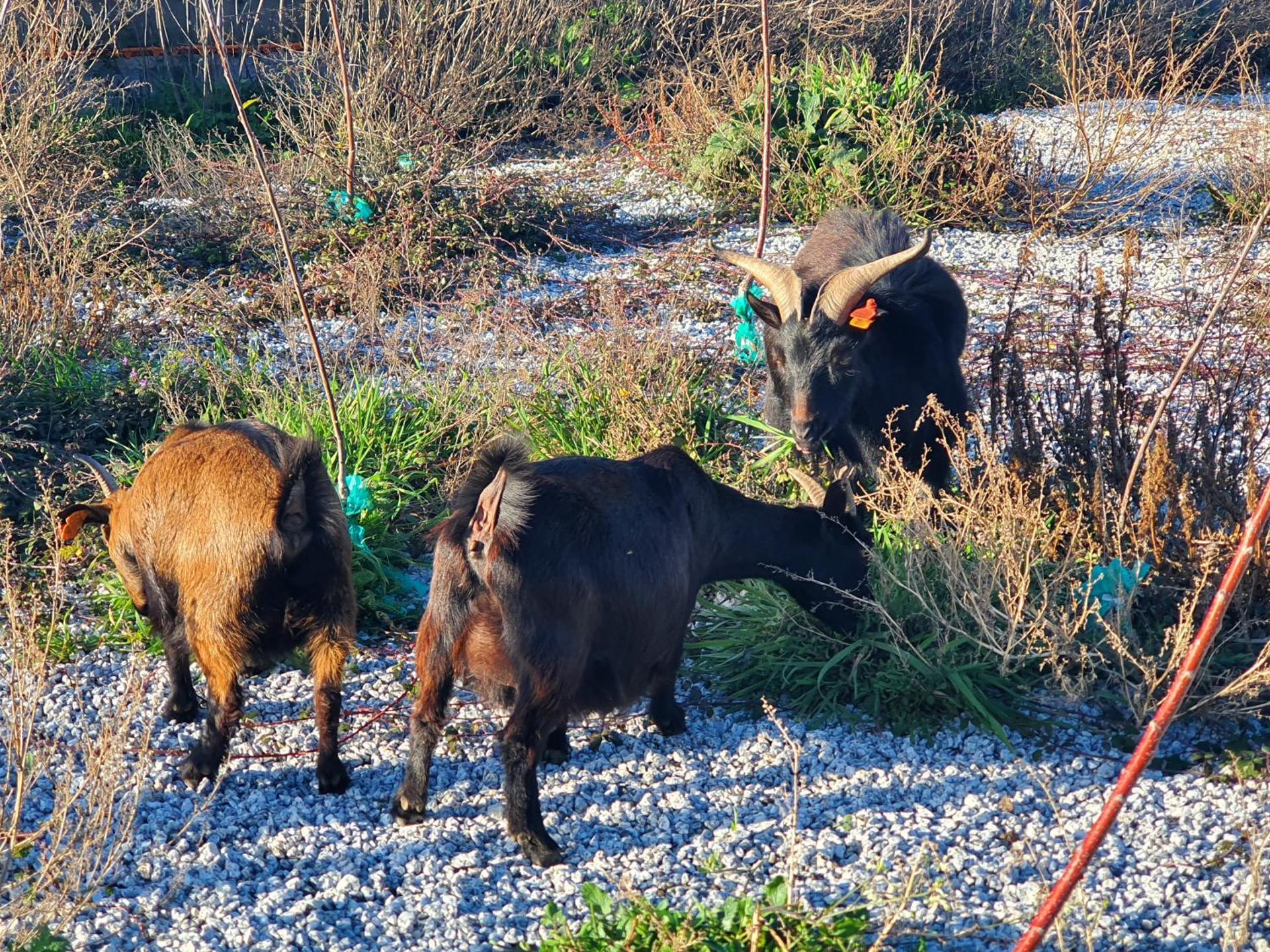 Gojim Casa Rural - Photo 49