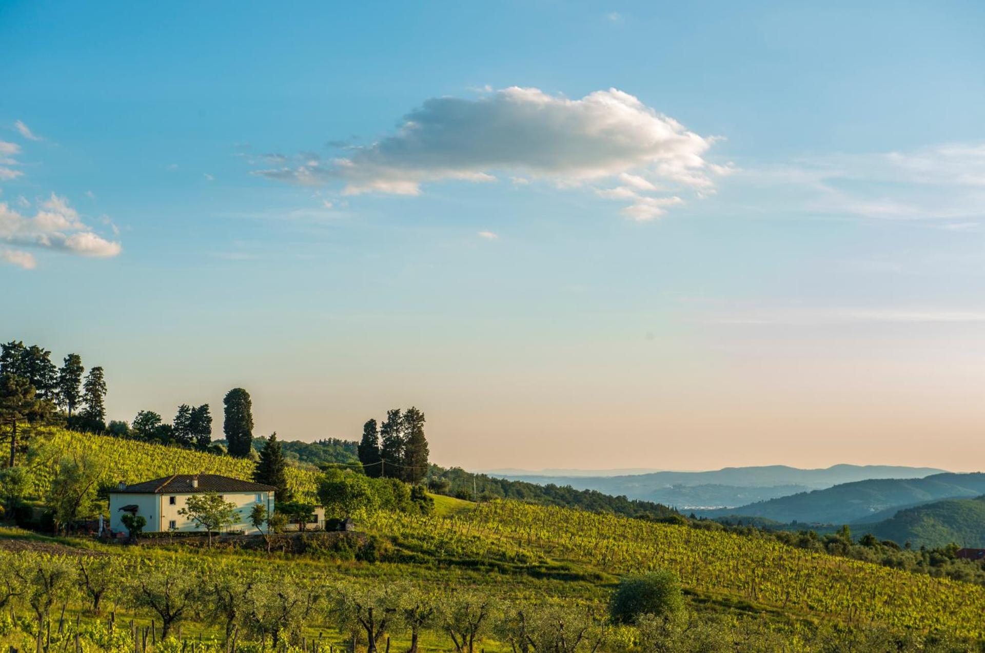 Florence Winery AgriResort - Fattoria Lavacchio - Photo 47