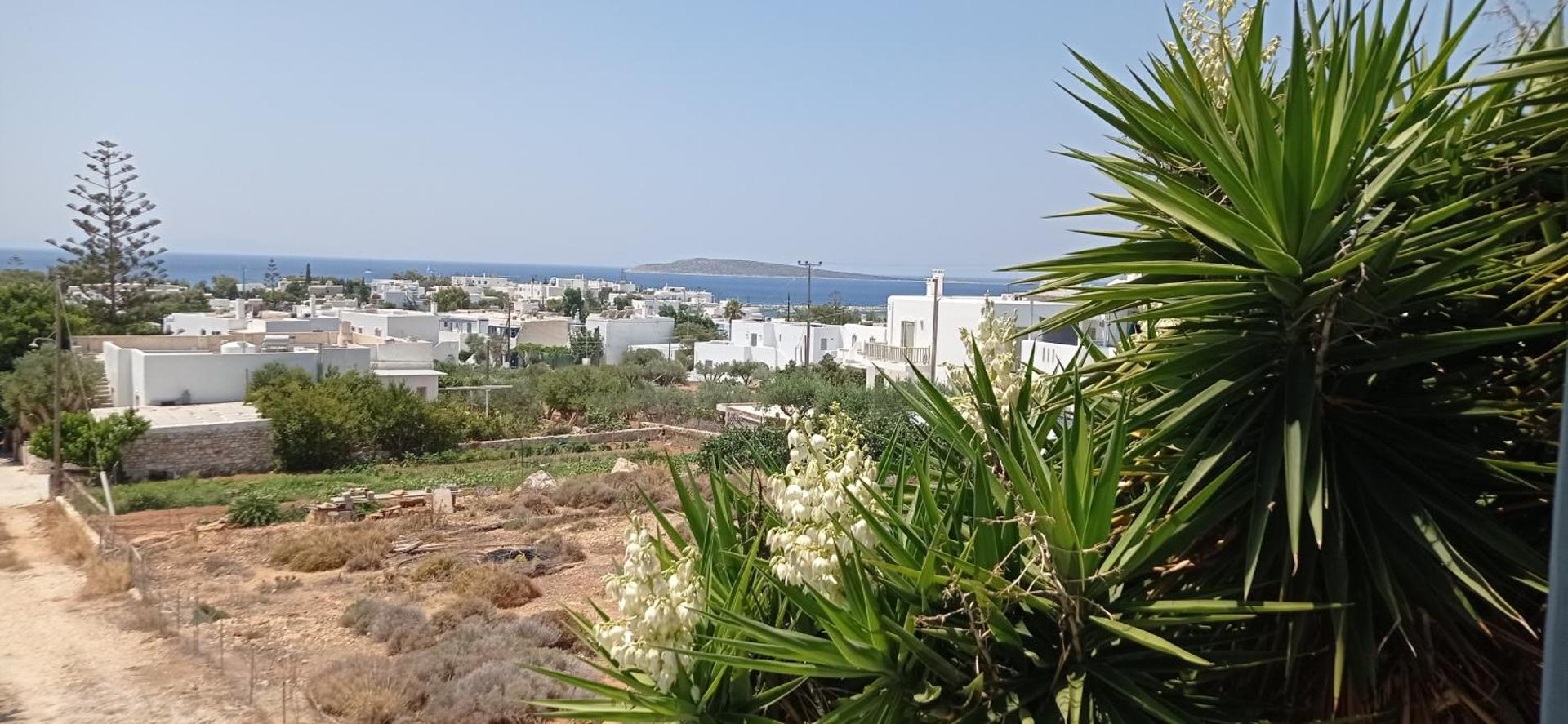 Anixis Studios Aliki Paros - Photo 79