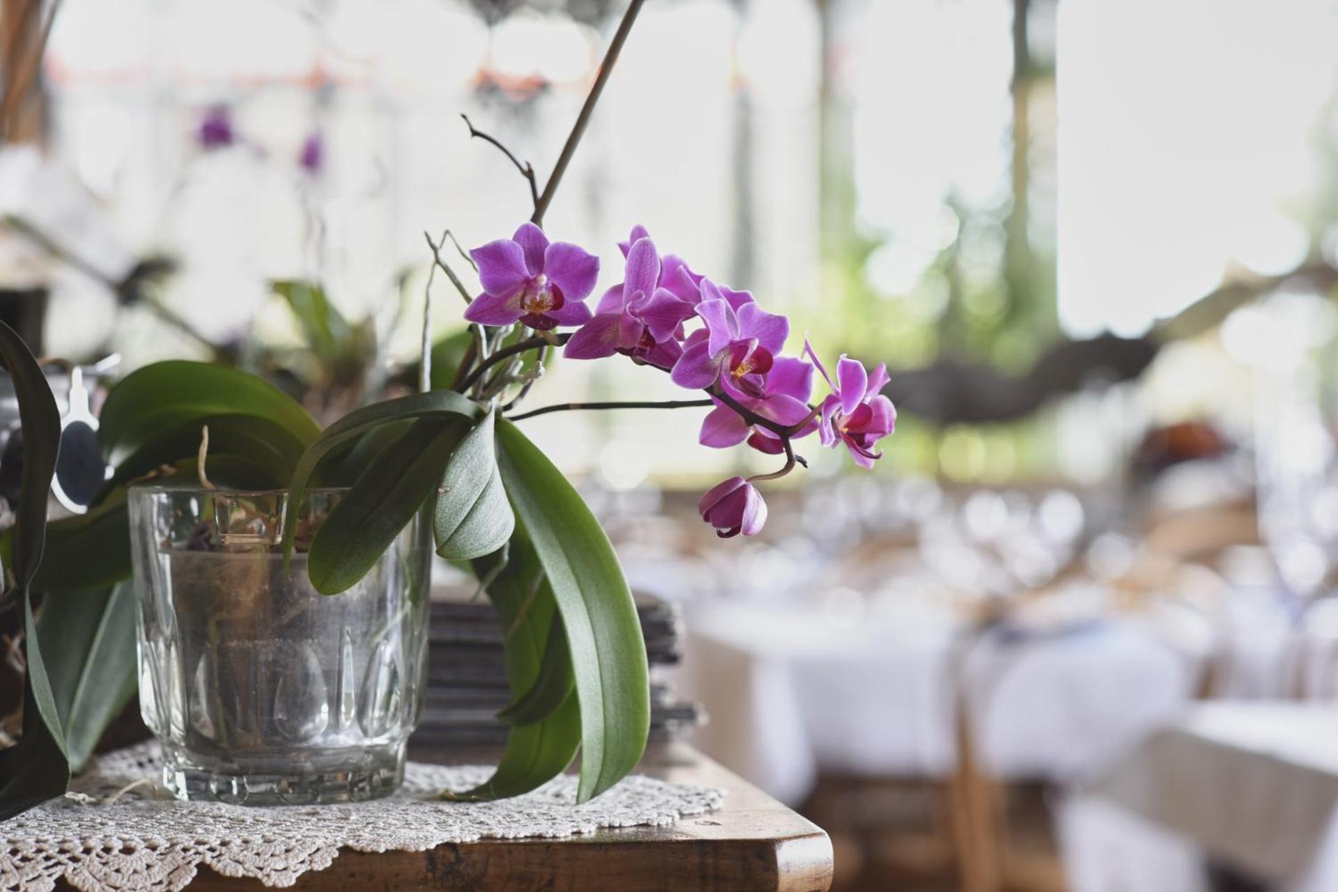 Bellavista Boutique Hotel - Photo 54