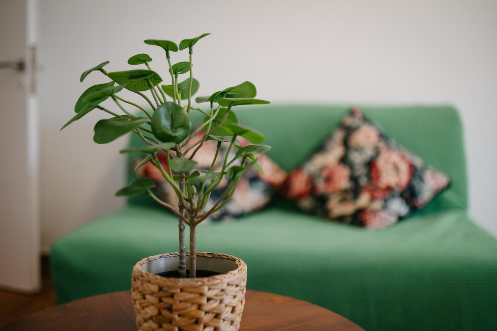 ZEN Sofokleous in psiri - Photo 24