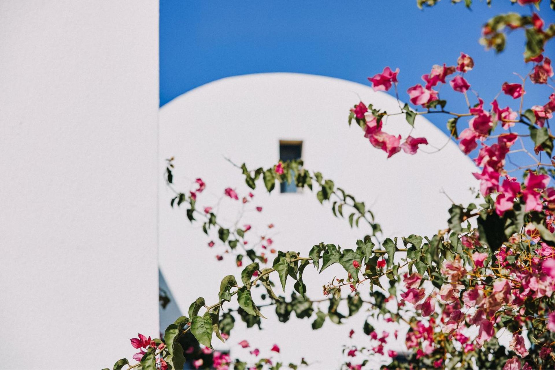 Vedema, a Luxury Collection Resort, Santorini - Photo 139