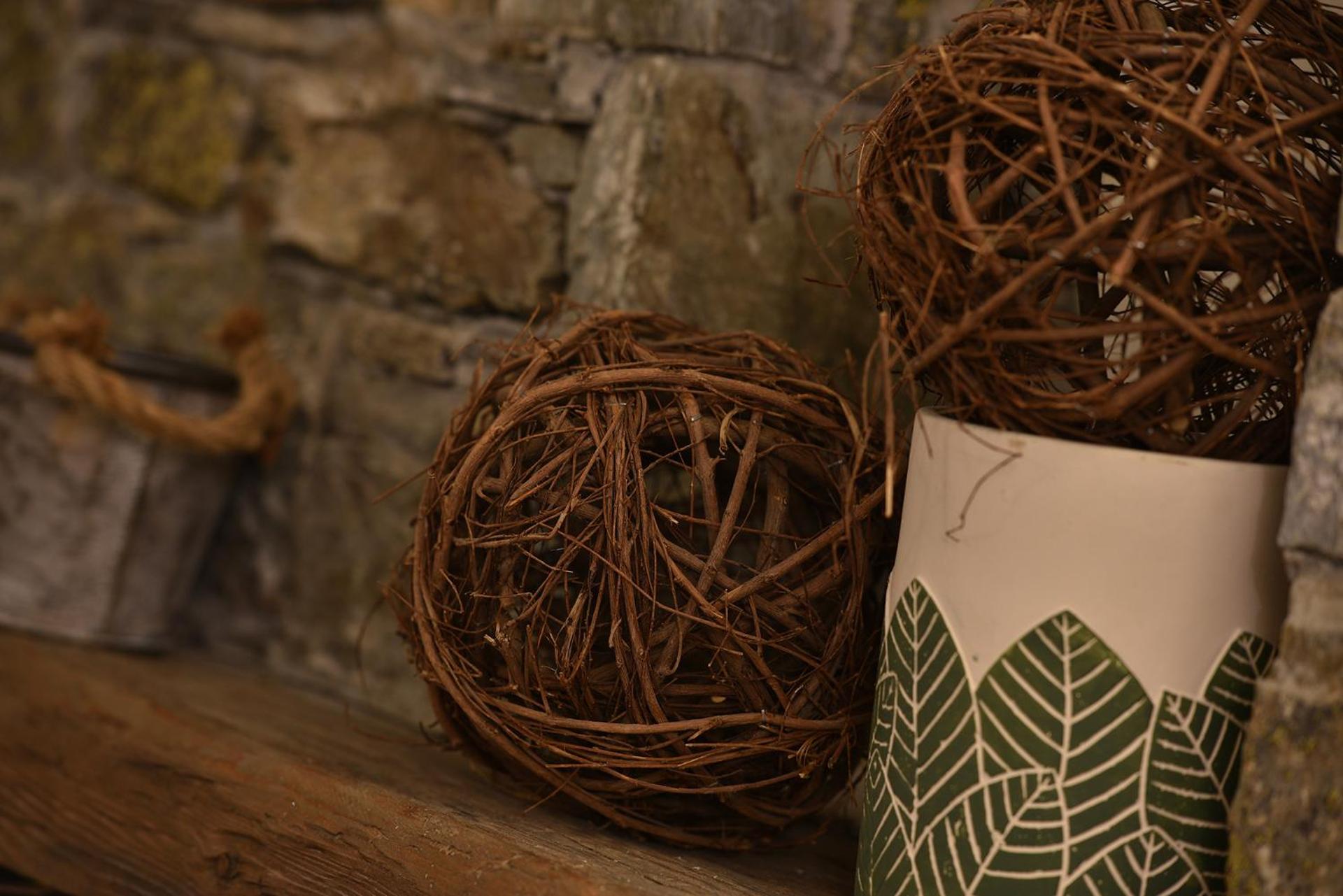 Hotel Primula - Photo 129