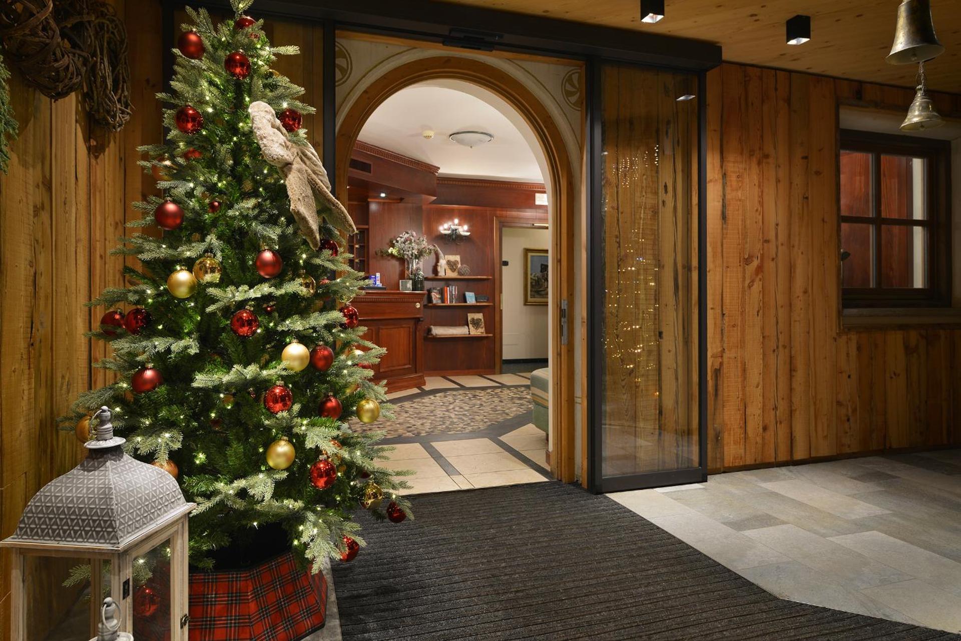 Hotel Primula - Photo 148