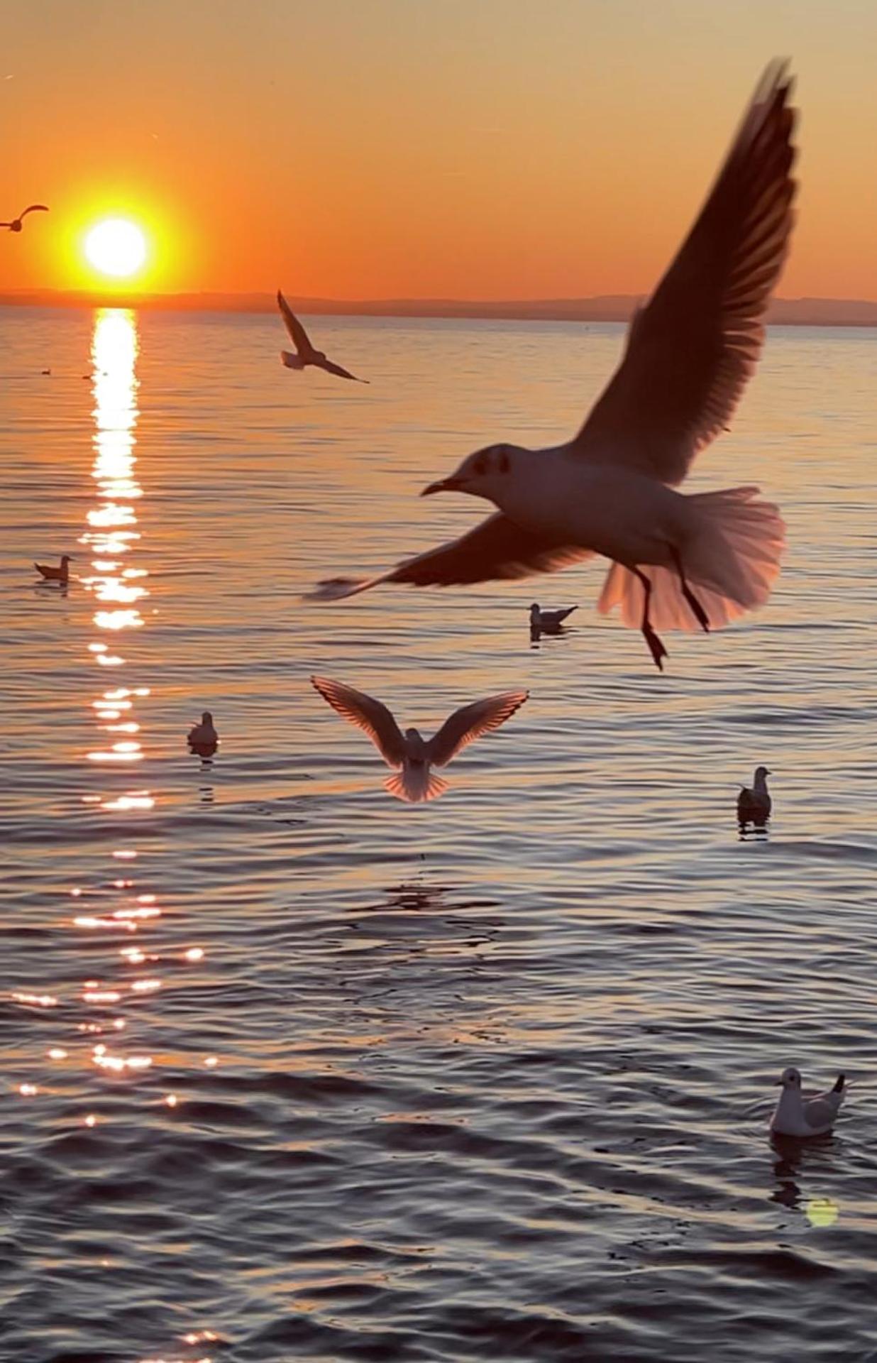 Cangrande Hotel - Photo 41