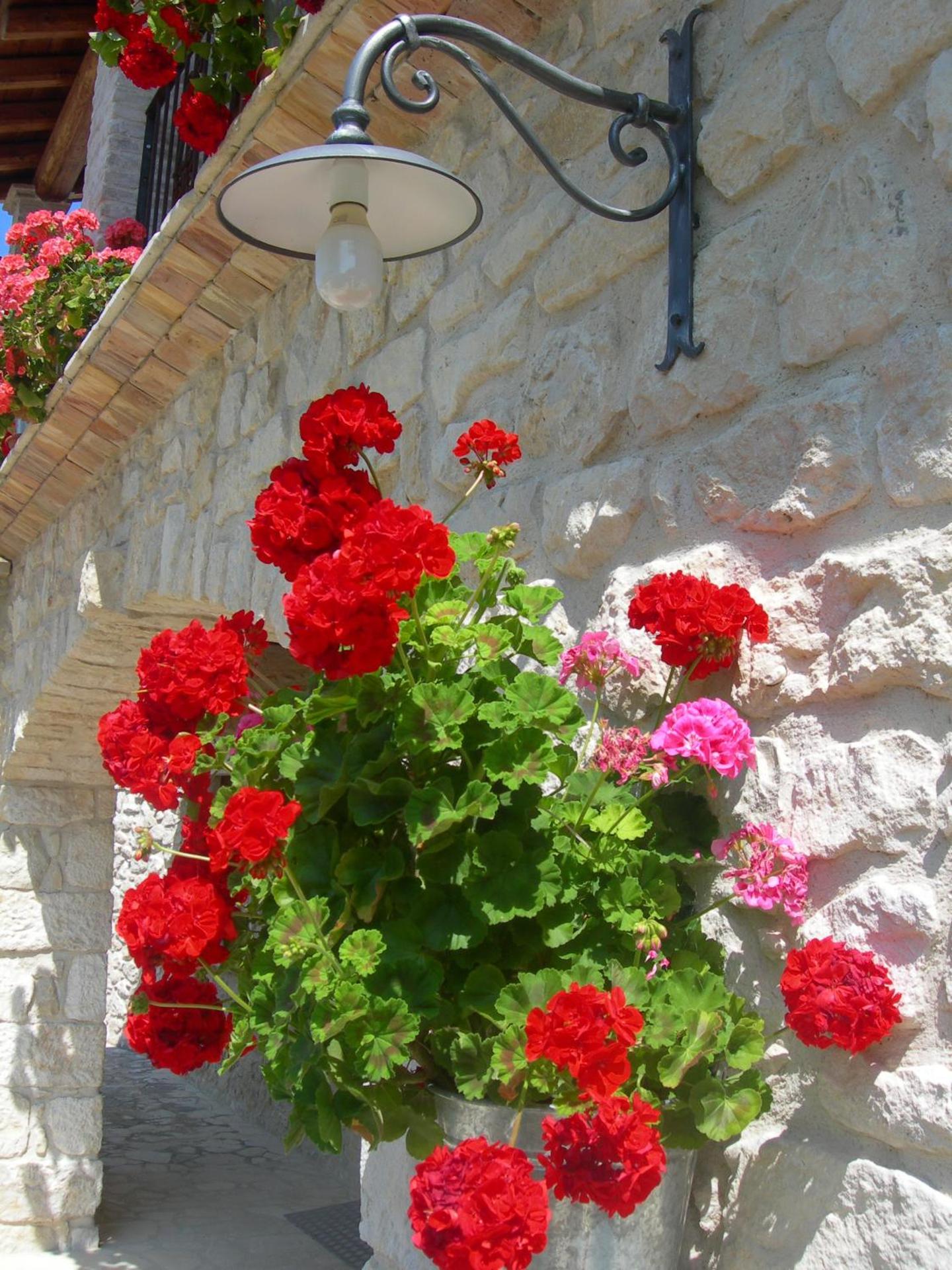 Agriturismo Borgo San Martino - Photo 40