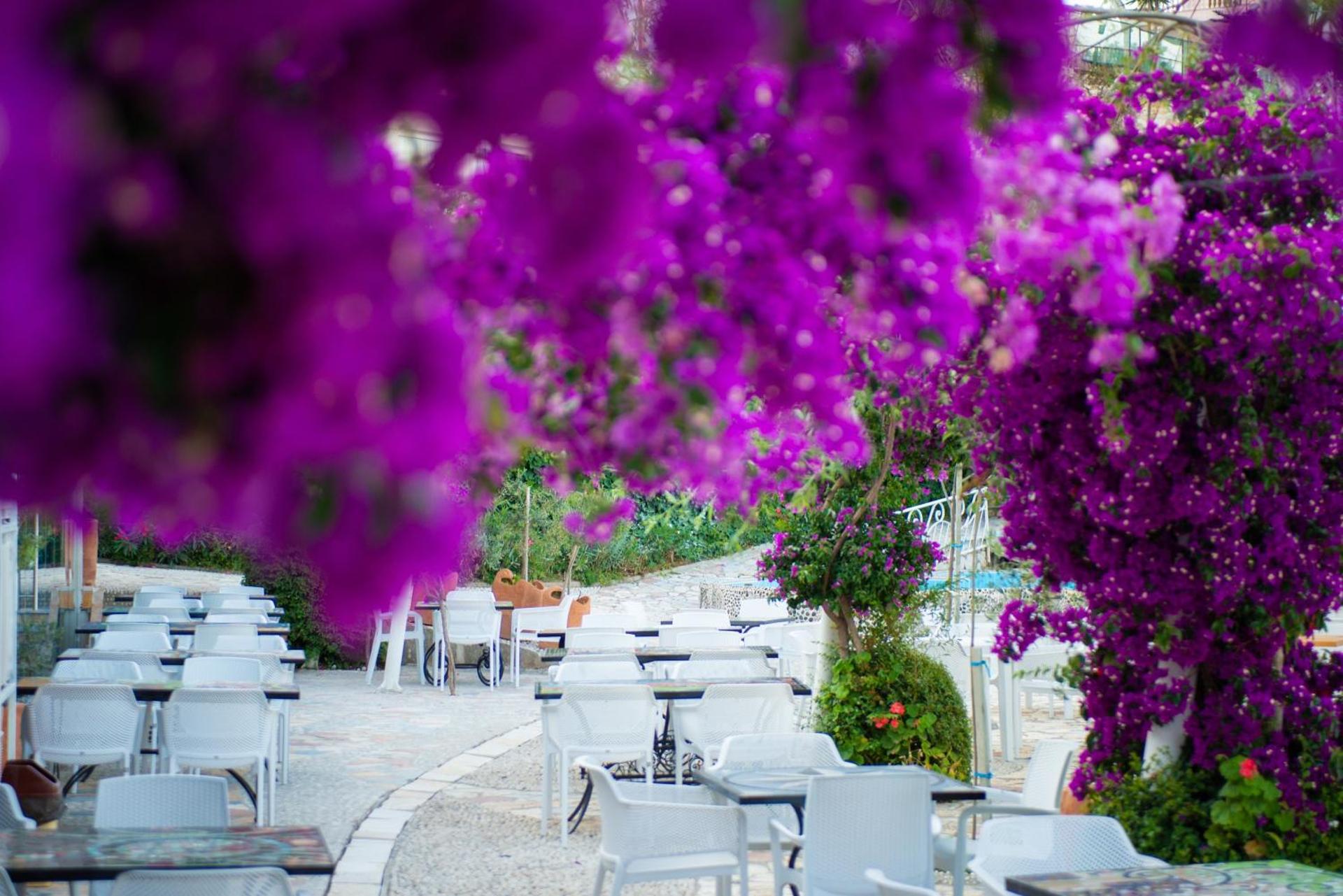 Bougainville Bay Apartments - Photo 160