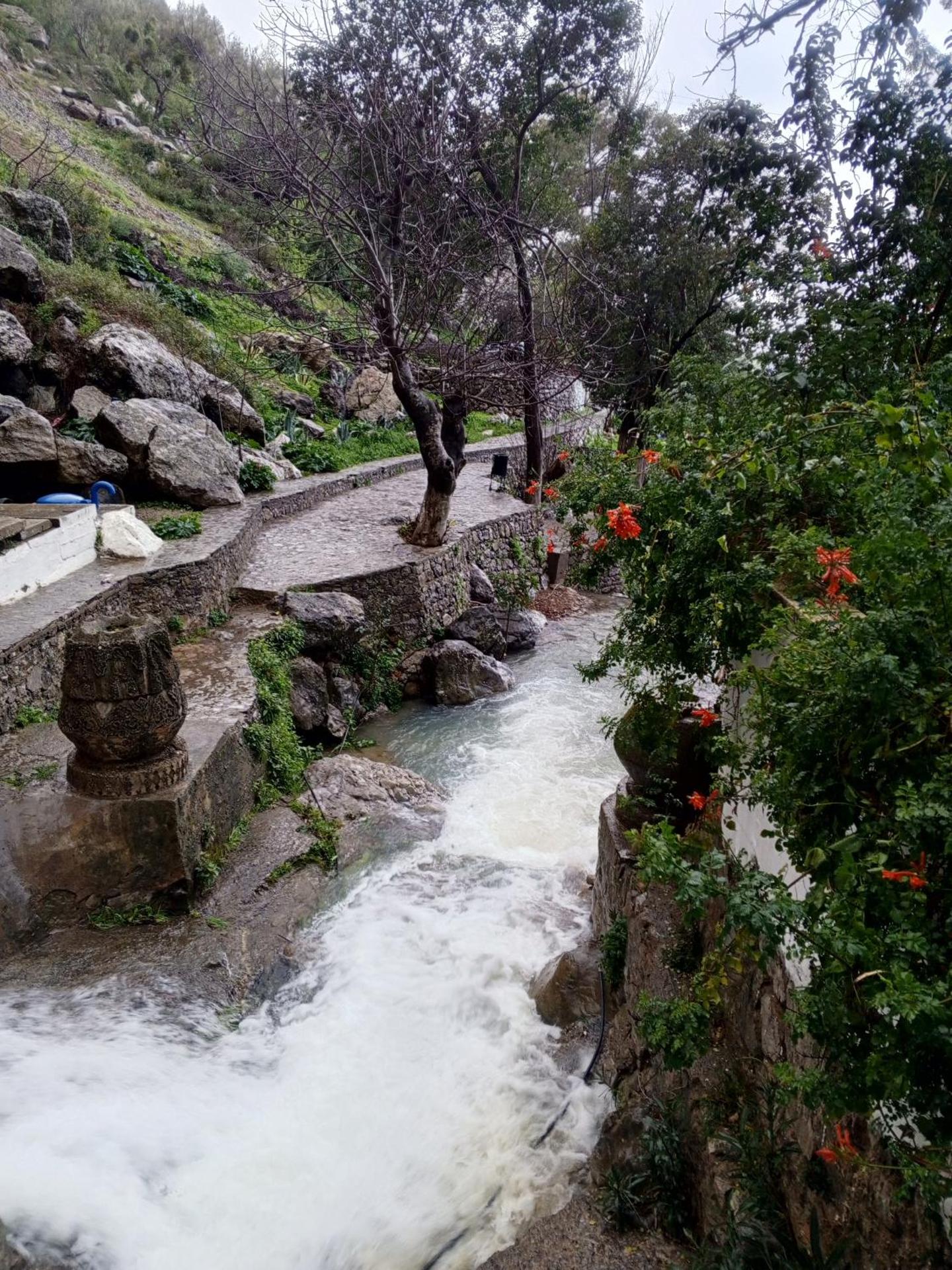 Dar Lbakal - Photo 74