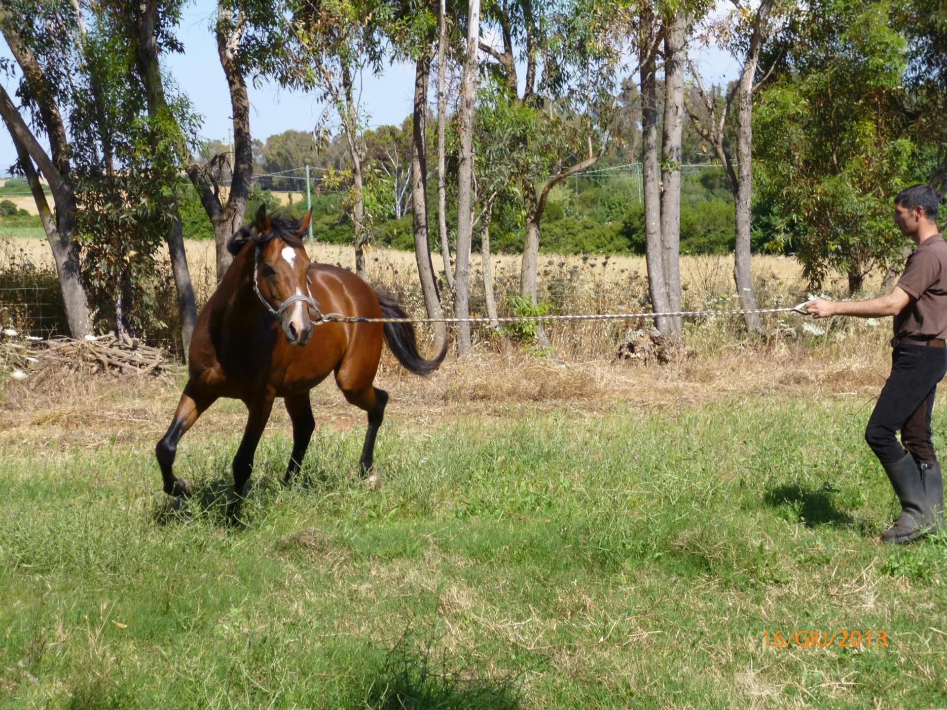 Agriturismo Cuile de Molino - Photo 83