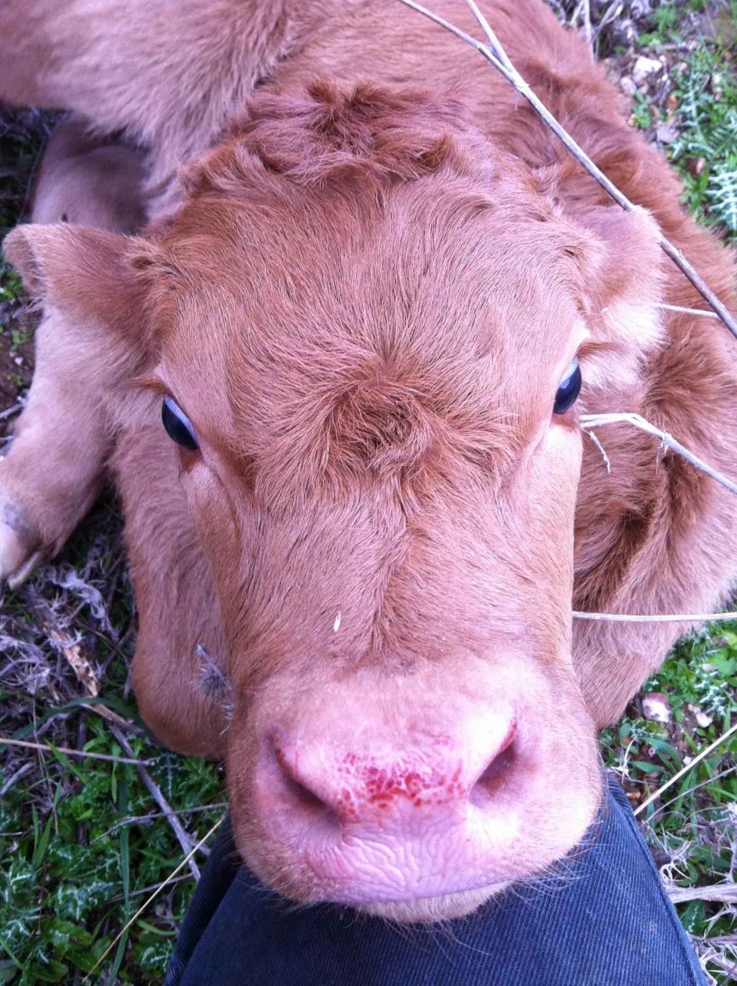 Agriturismo Cuile de Molino - Photo 84