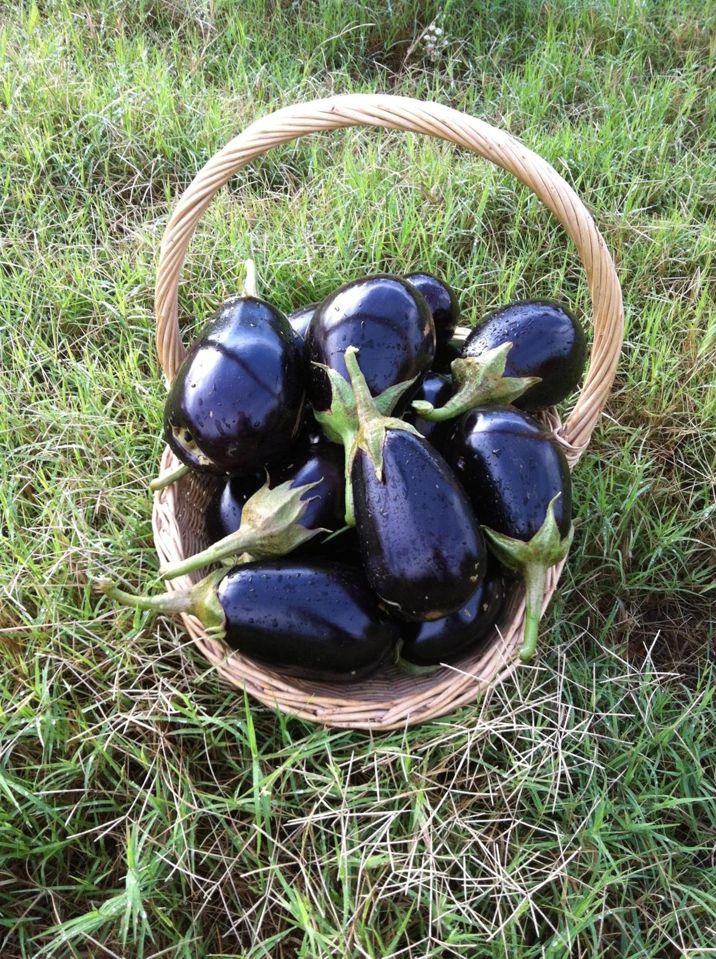 Agriturismo Cuile de Molino - Photo 89