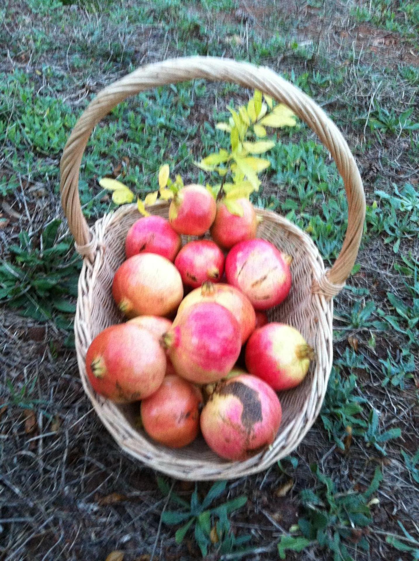 Agriturismo Cuile de Molino - Photo 90