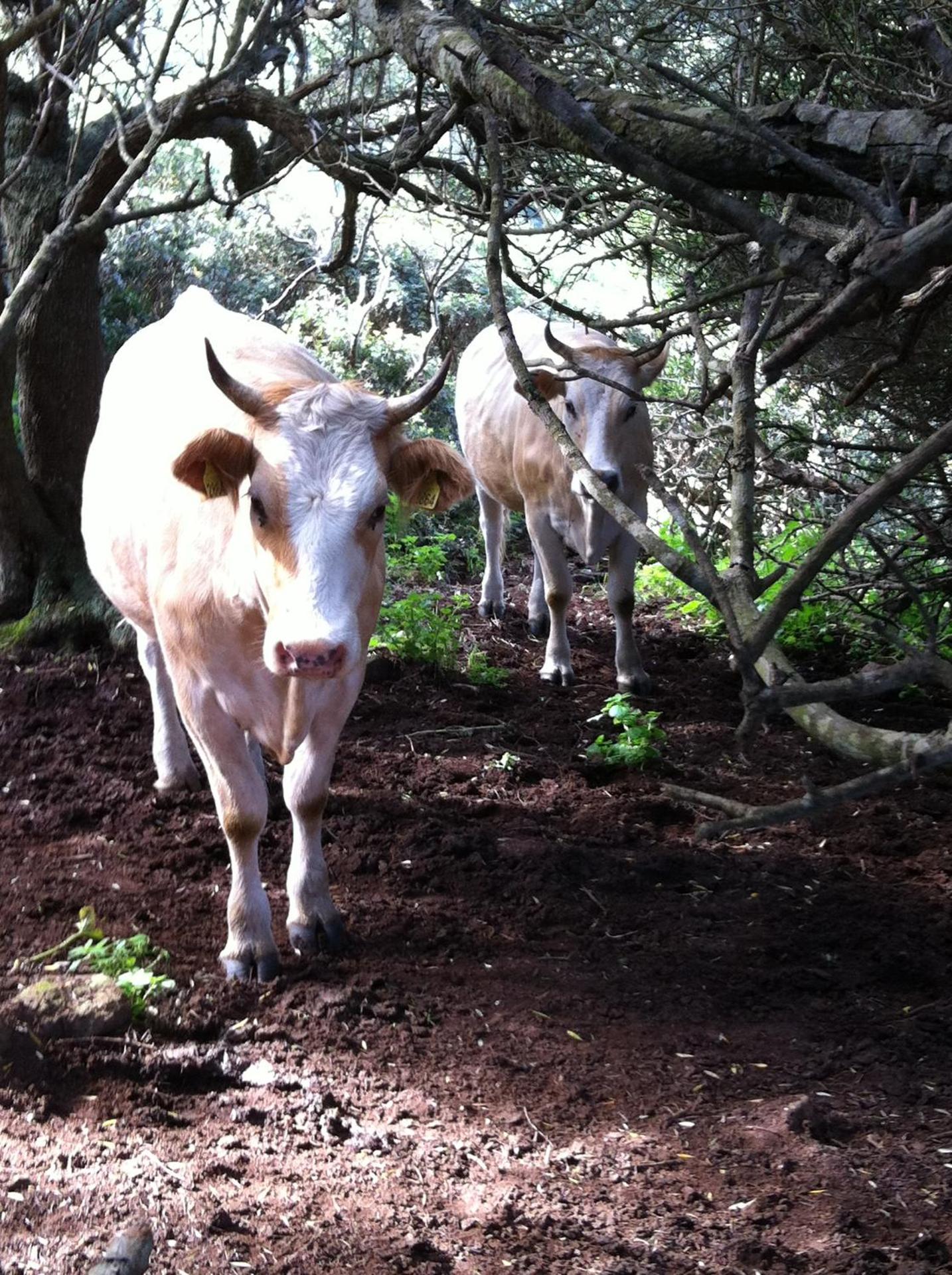 Agriturismo Cuile de Molino - Photo 93