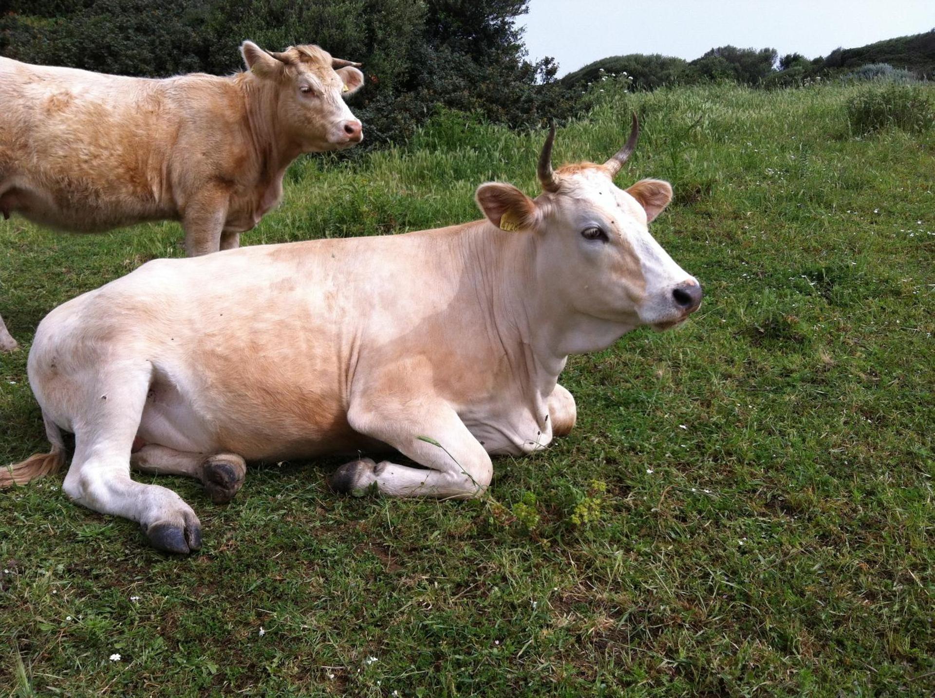 Agriturismo Cuile de Molino - Photo 94