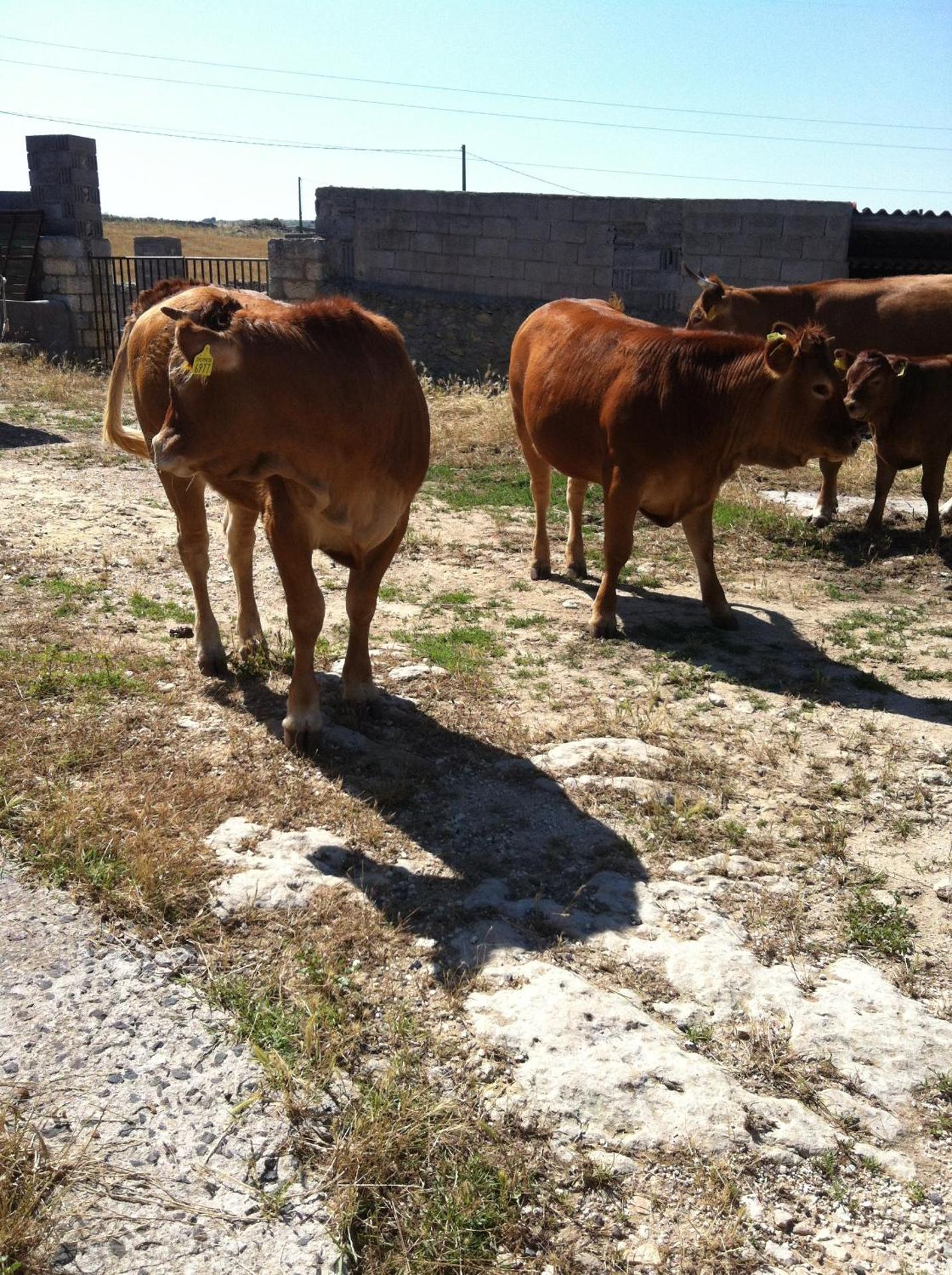 Agriturismo Cuile de Molino - Photo 96