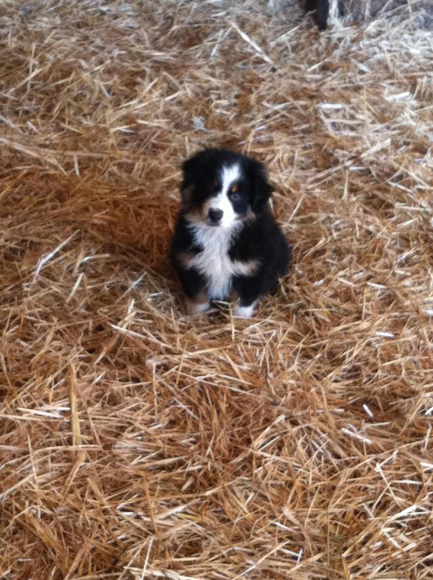 Agriturismo Cuile de Molino - Photo 97
