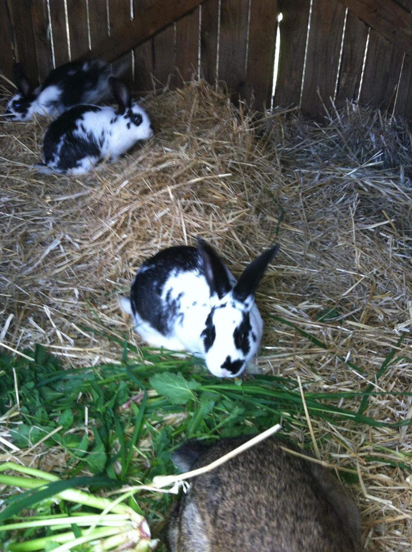 Agriturismo Cuile de Molino - Photo 98