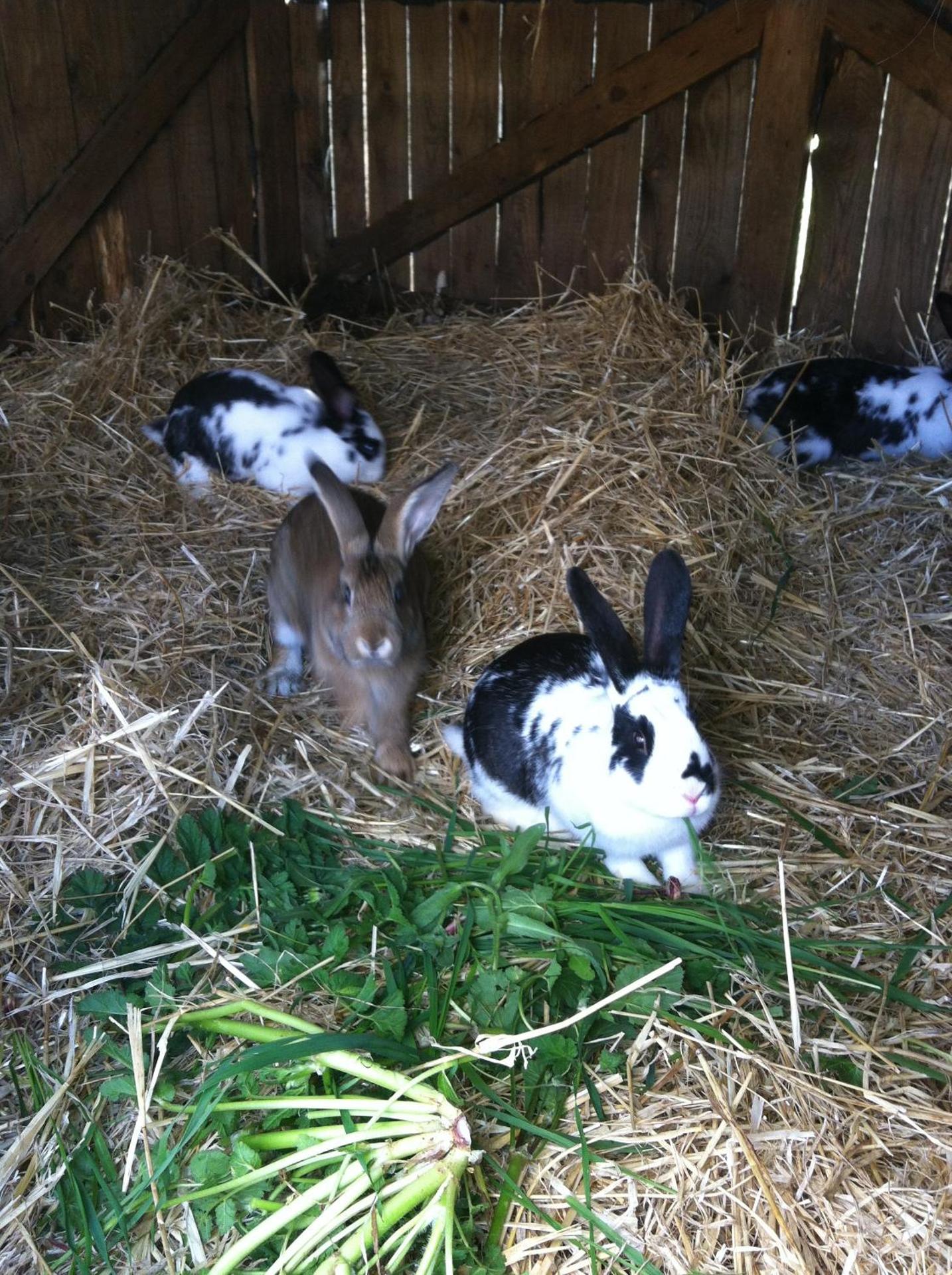 Agriturismo Cuile de Molino - Photo 99