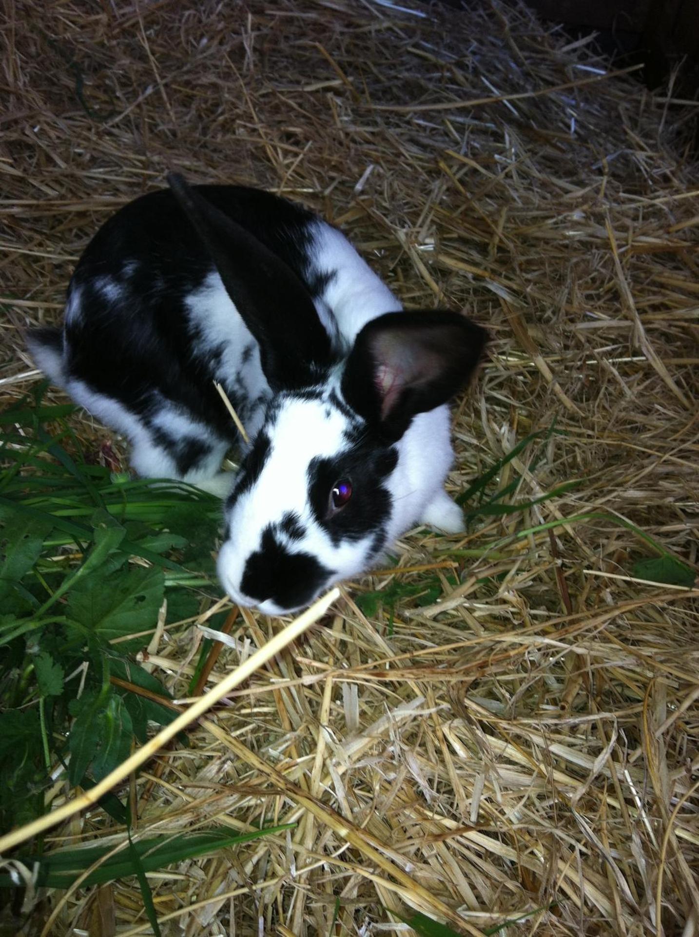 Agriturismo Cuile de Molino - Photo 100
