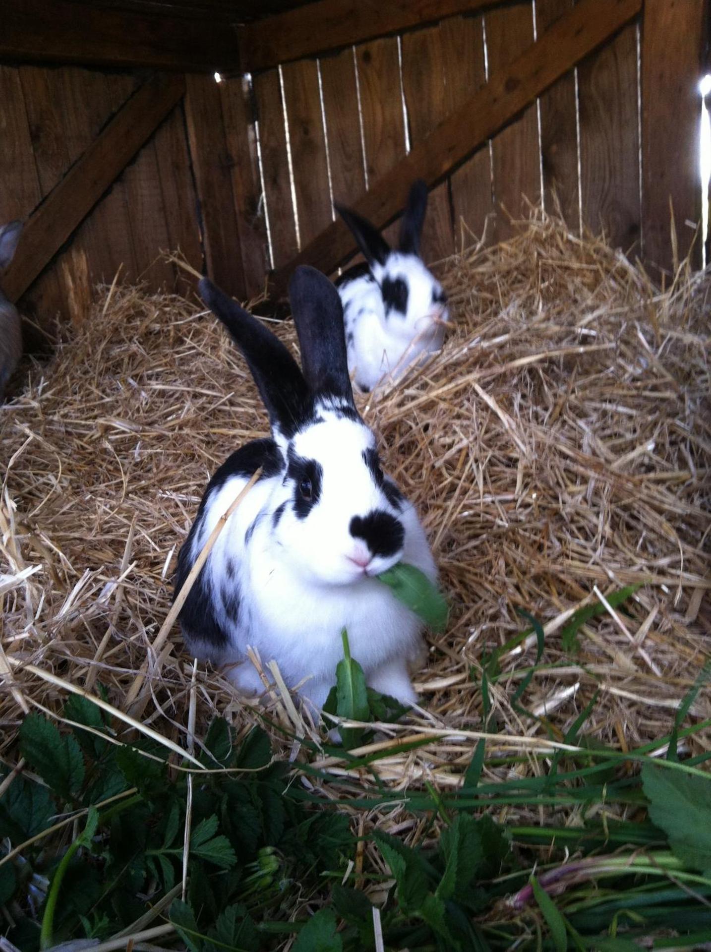 Agriturismo Cuile de Molino - Photo 101