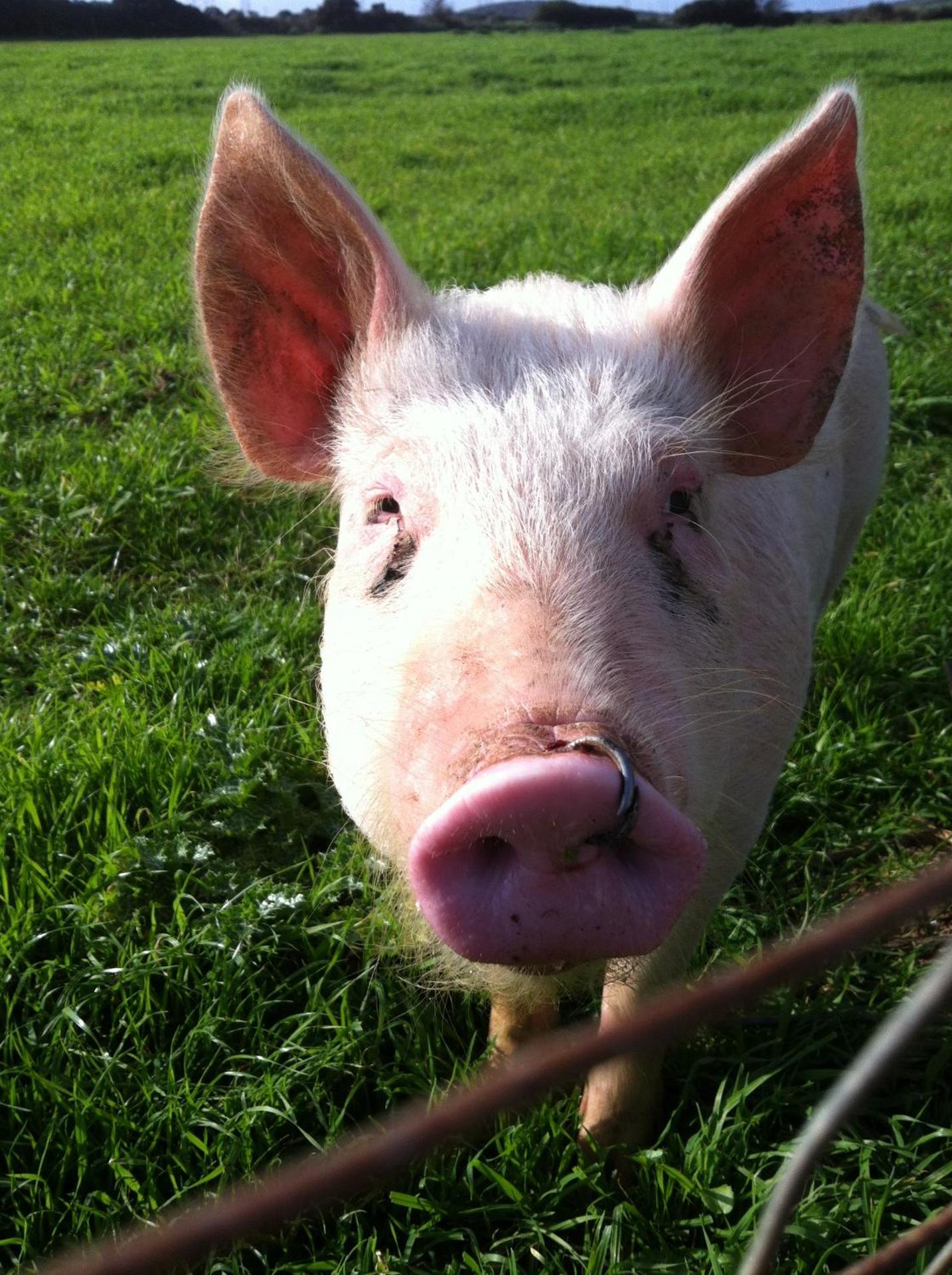 Agriturismo Cuile de Molino - Photo 102