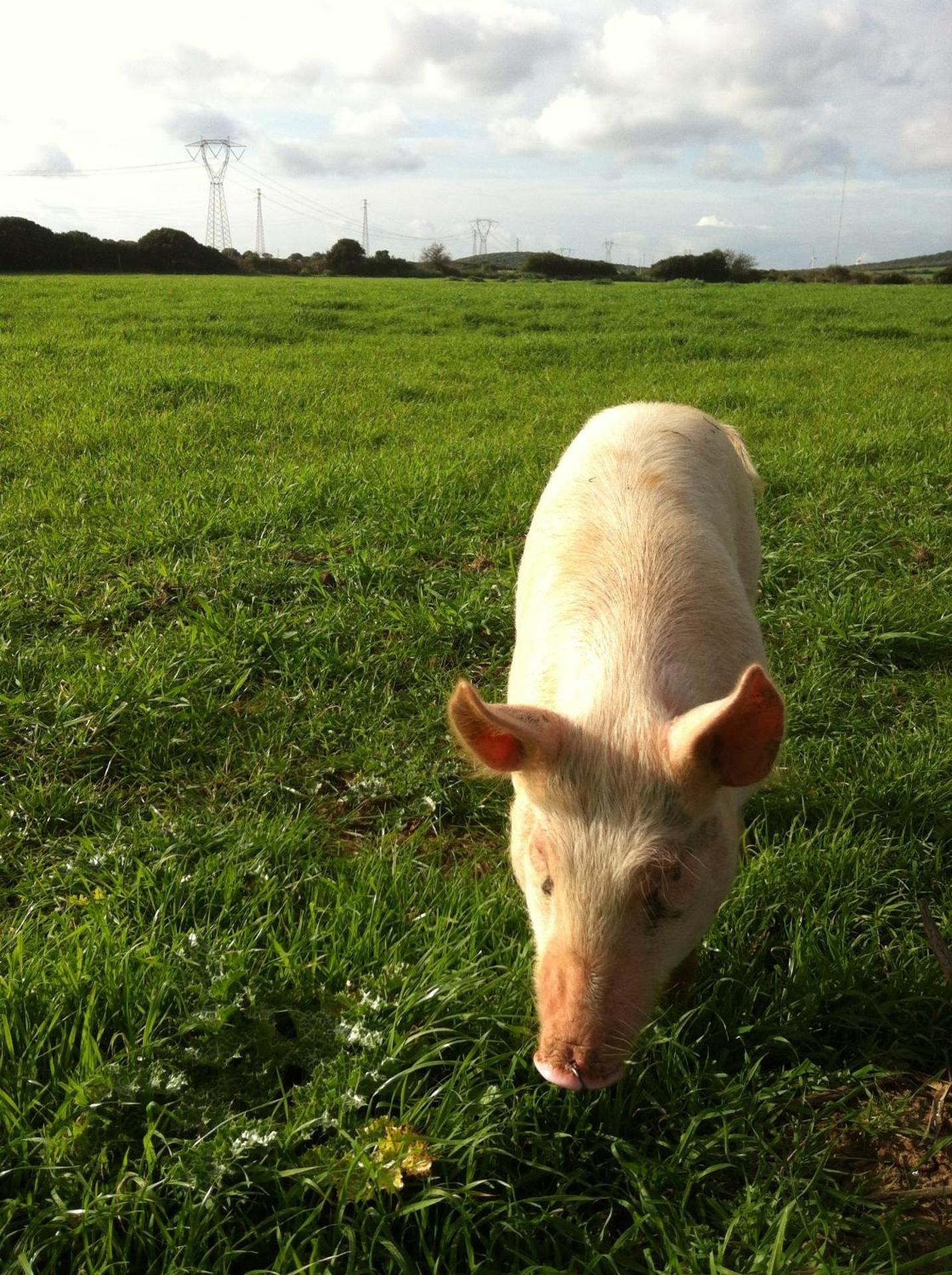 Agriturismo Cuile de Molino - Photo 104