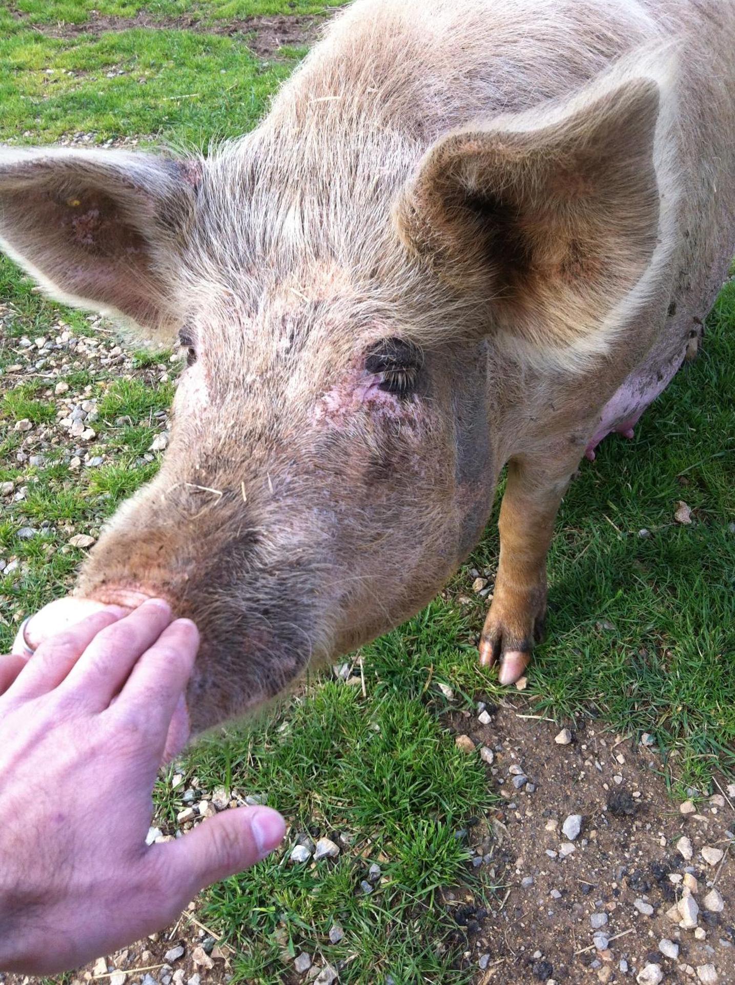 Agriturismo Cuile de Molino - Photo 105