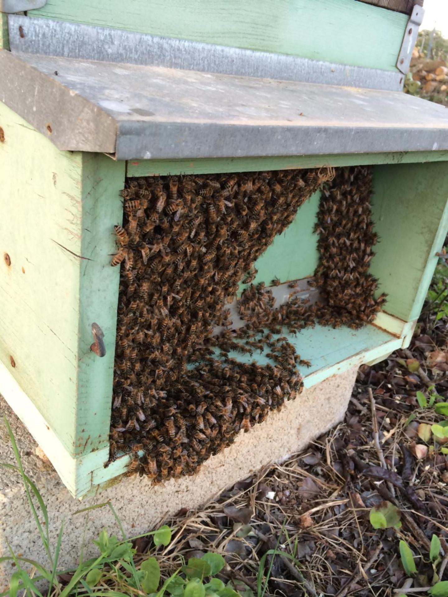 Agriturismo Cuile de Molino - Photo 108
