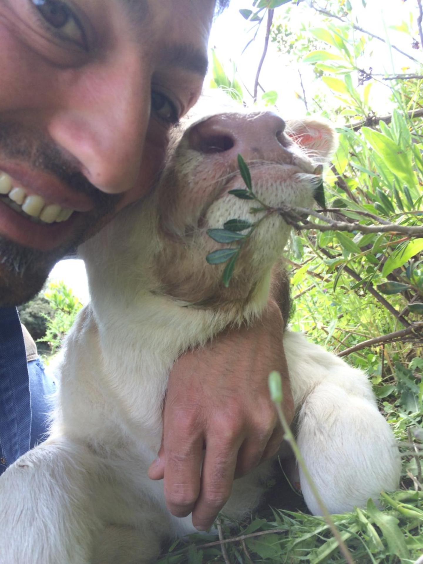 Agriturismo Cuile de Molino - Photo 109