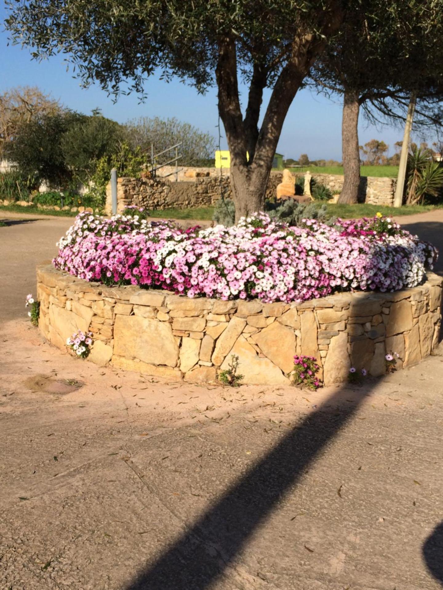 Agriturismo Cuile de Molino - Photo 110