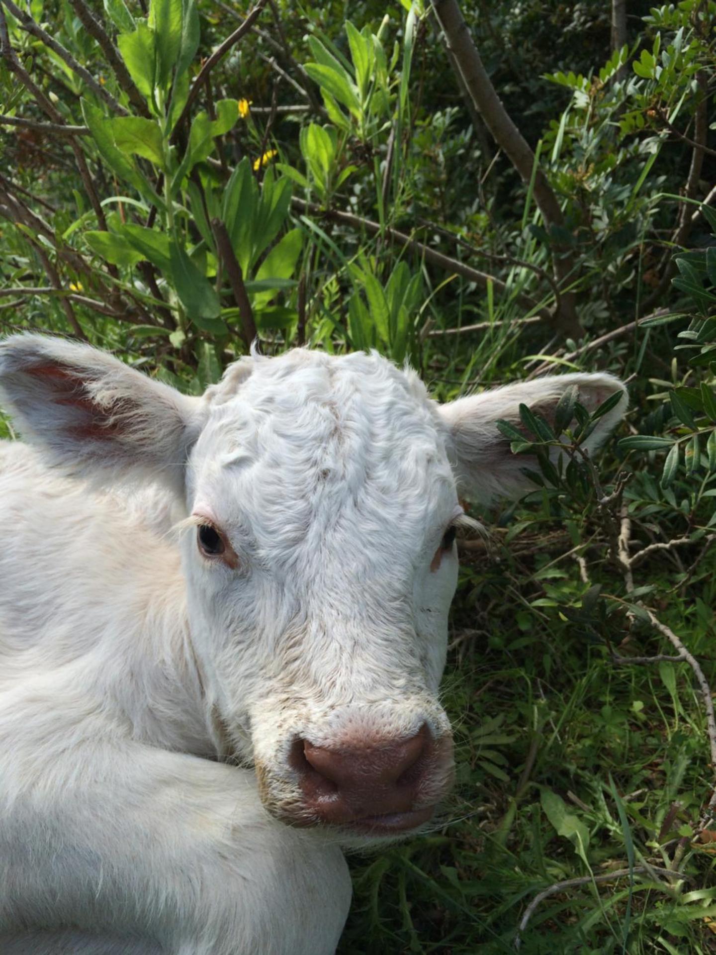 Agriturismo Cuile de Molino - Photo 111