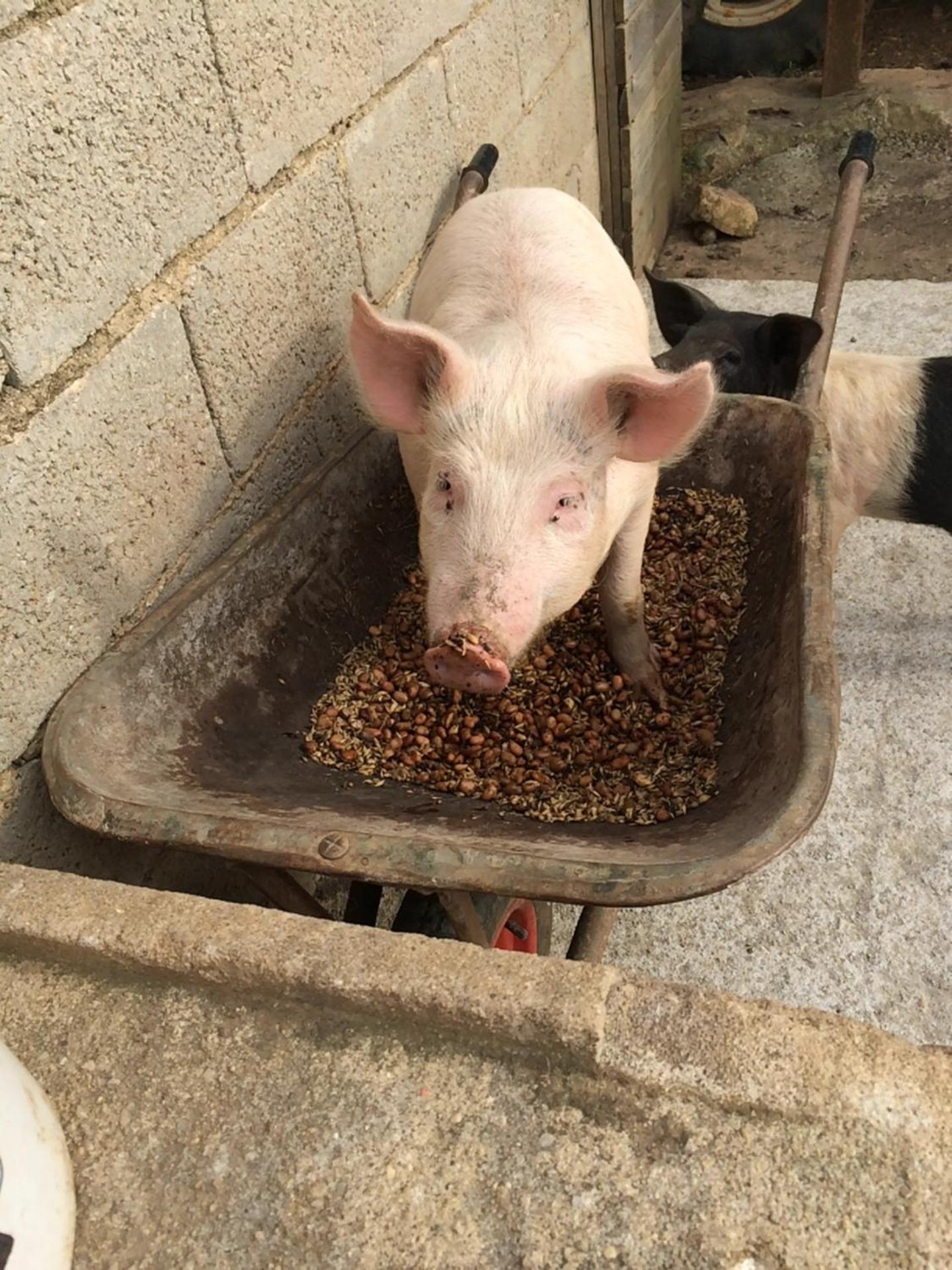 Agriturismo Cuile de Molino - Photo 114