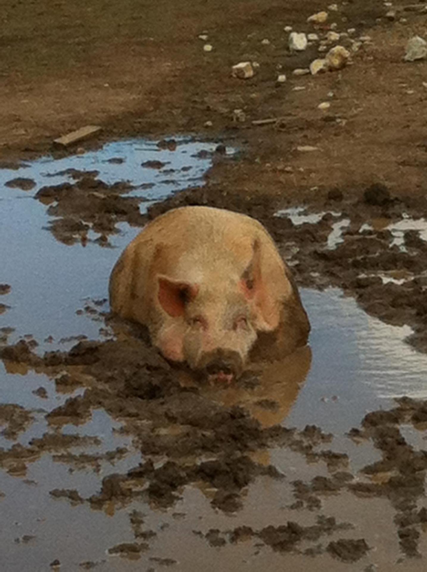 Agriturismo Cuile de Molino - Photo 116