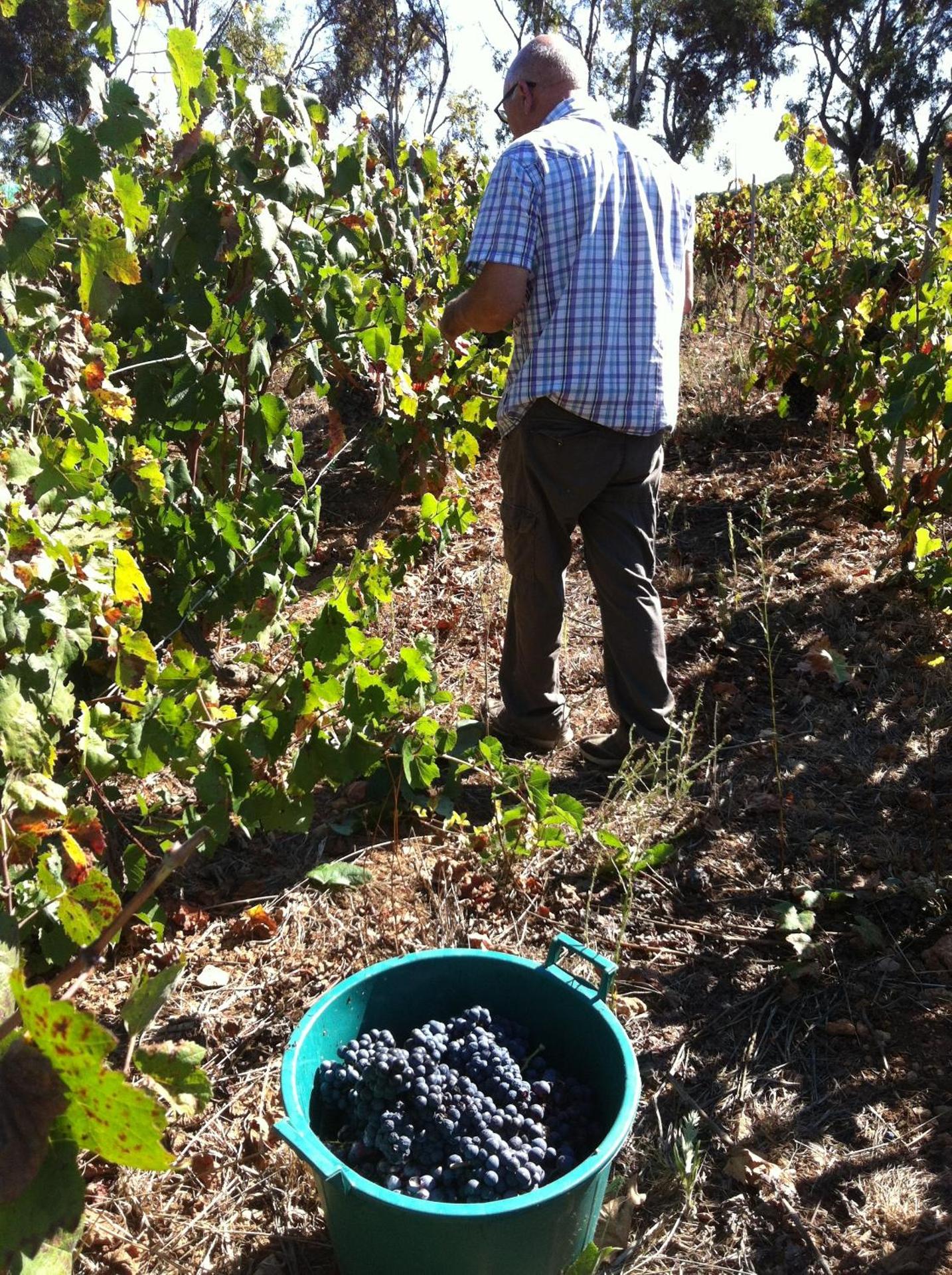 Agriturismo Cuile de Molino - Photo 118