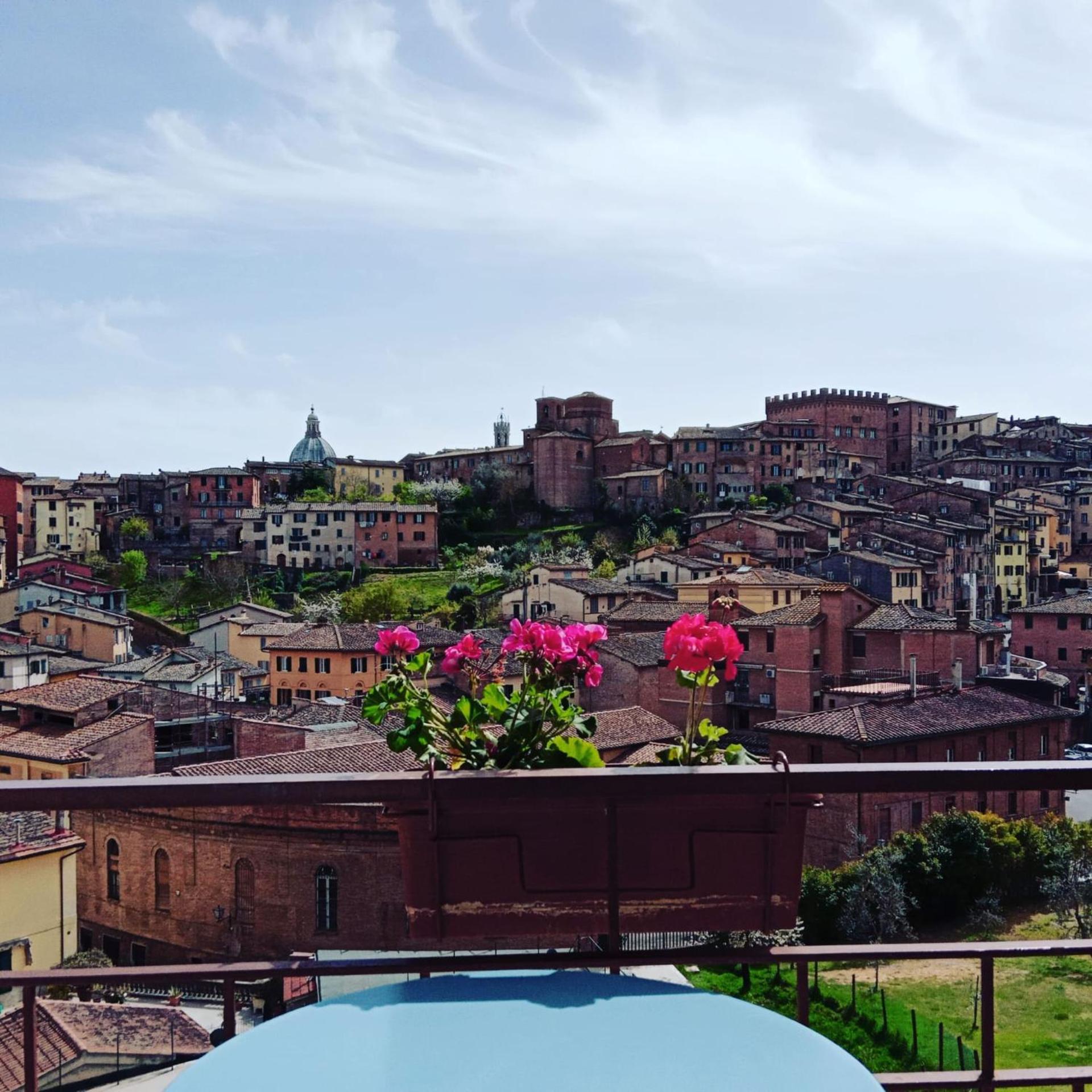 Hotel Minerva - Photo 15