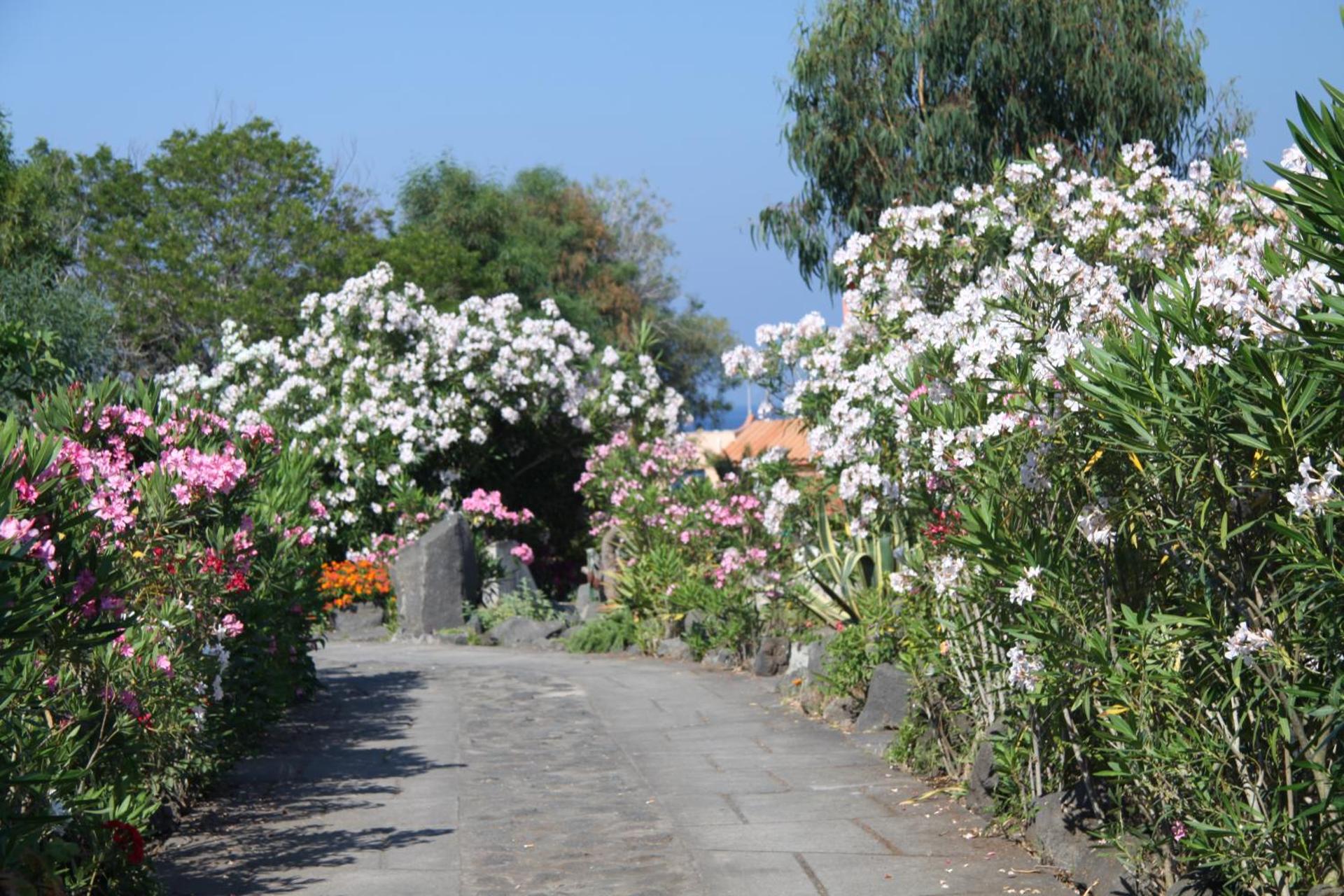 Vulcano Blu Residence - Photo 53